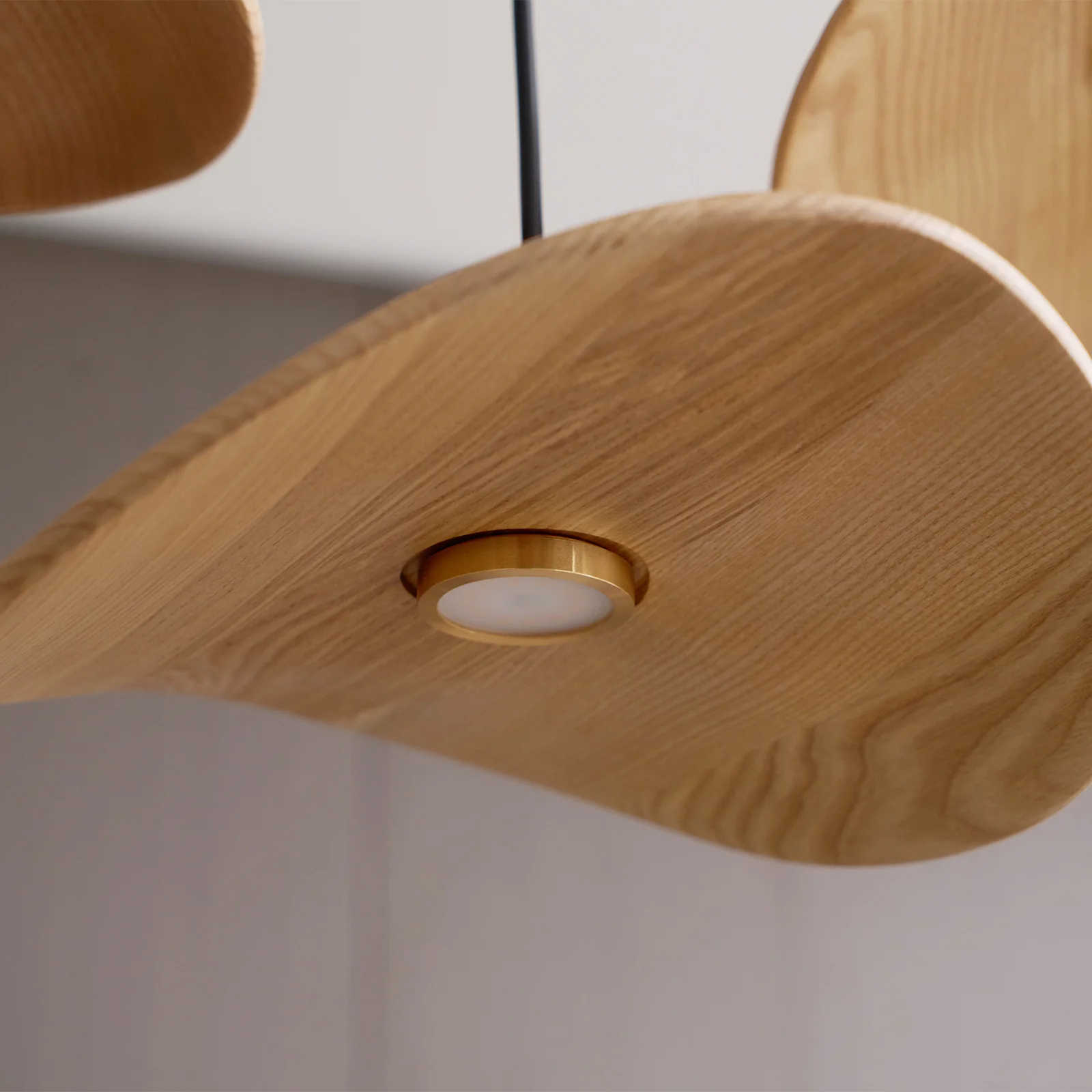 Empty Leaf Chandelier - Image 58