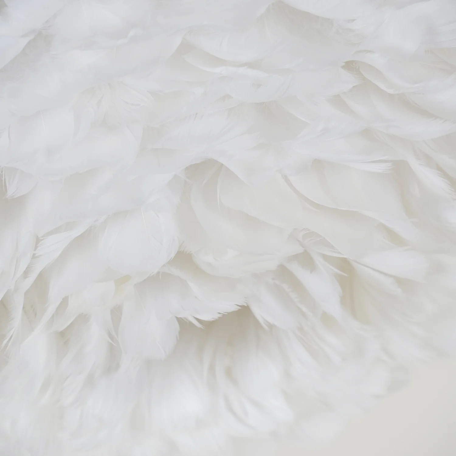 Feathered Ceiling Lamp - Image 26