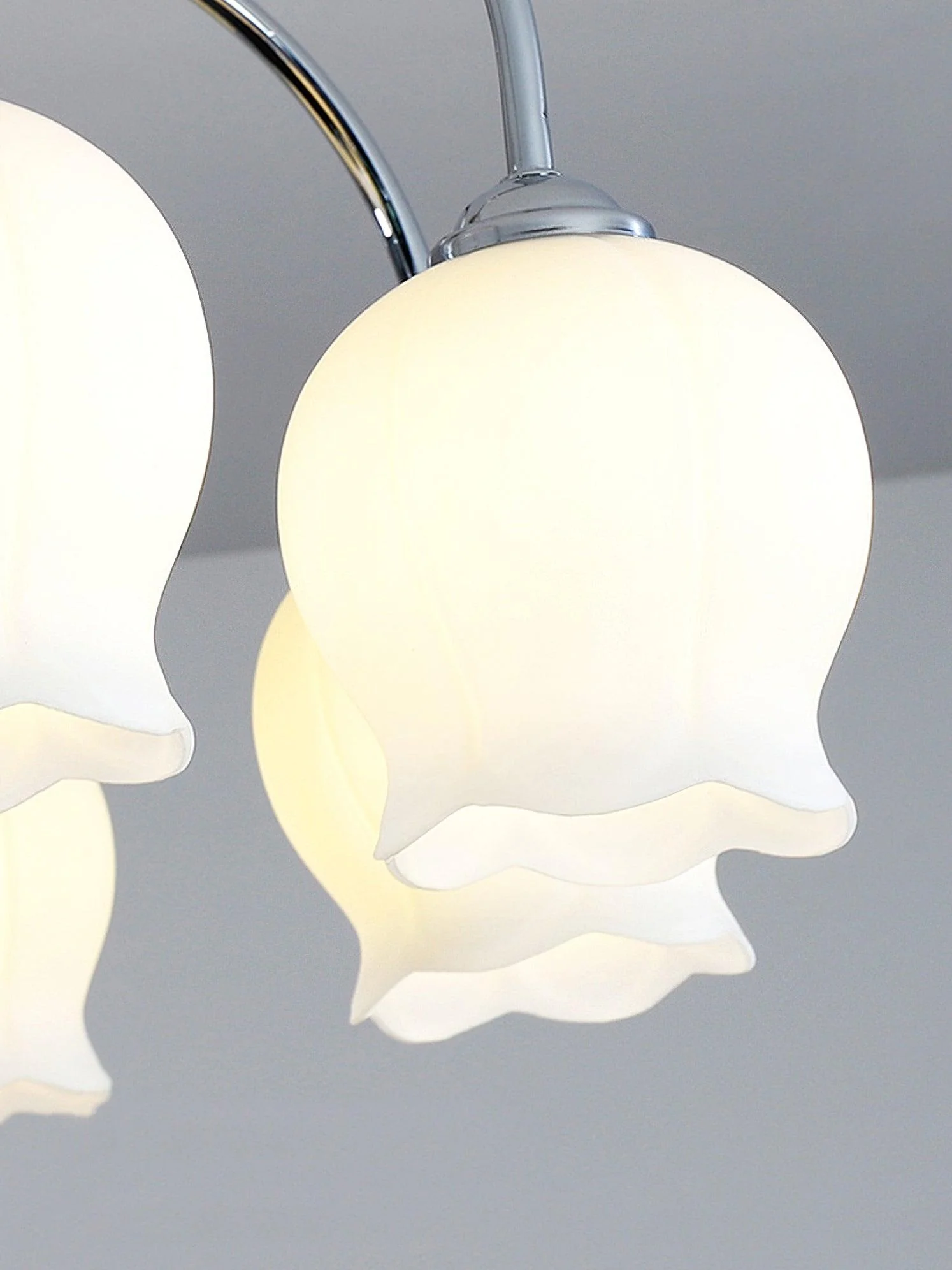 Floral Glass Ceiling Lamp - Image 13