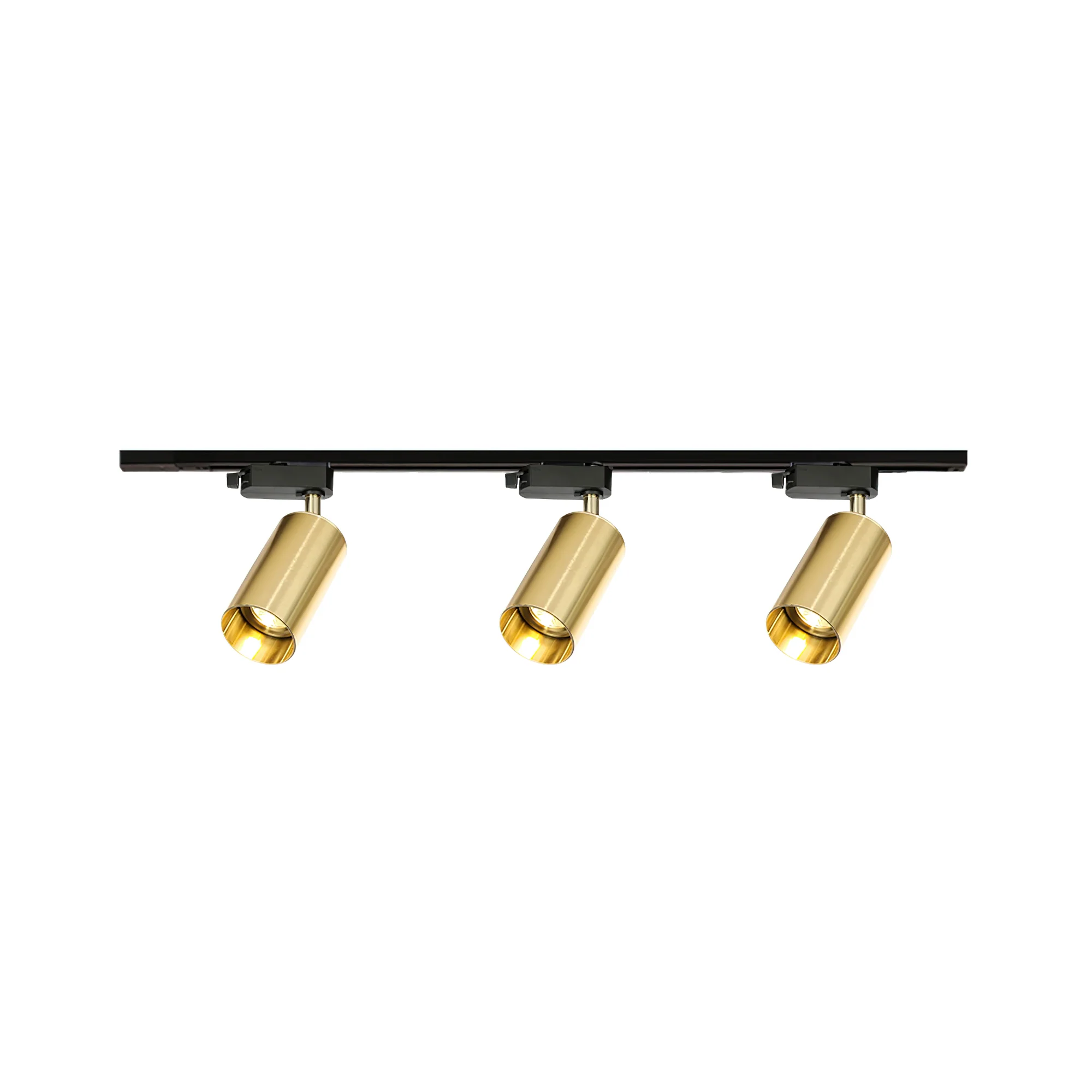 Gilded Rail Track Light - Image 17