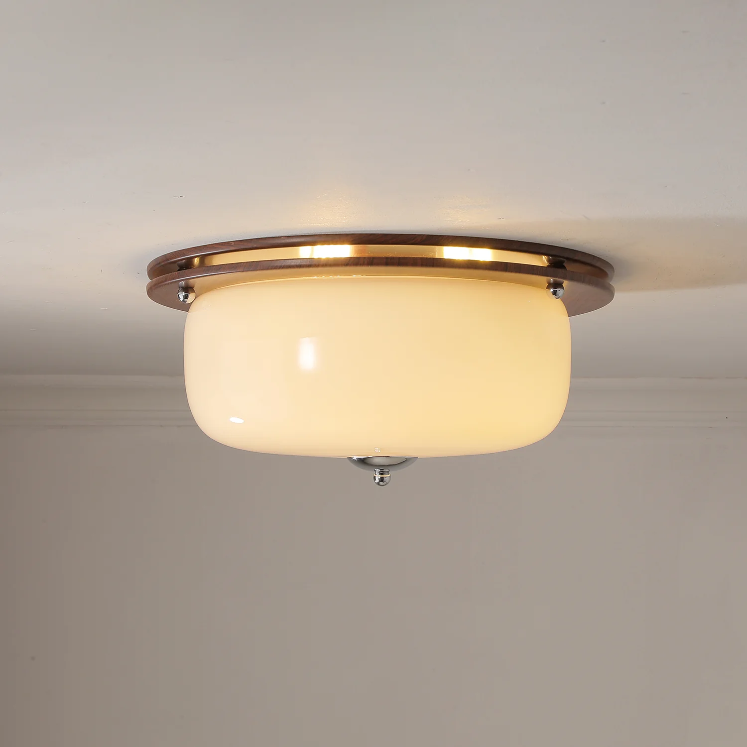 Glass Dome Ceiling Light - Image 20