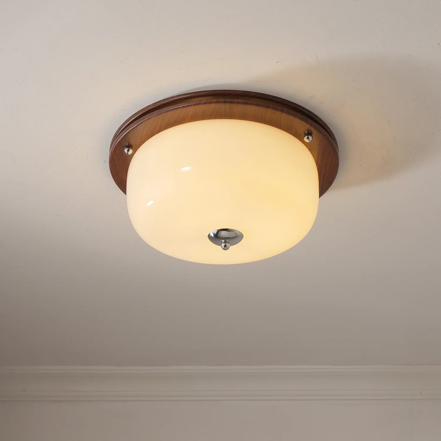 Glass Dome Ceiling Light - Image 21