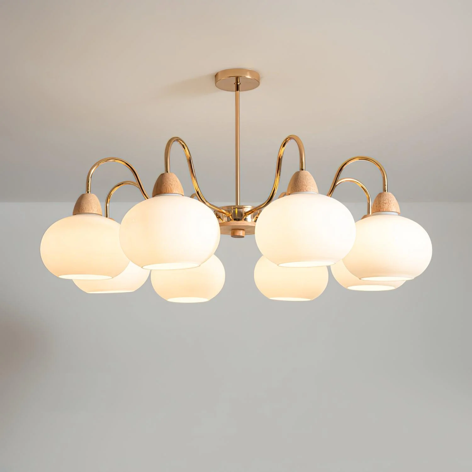 Glass Persimmon Chandelier - Image 7