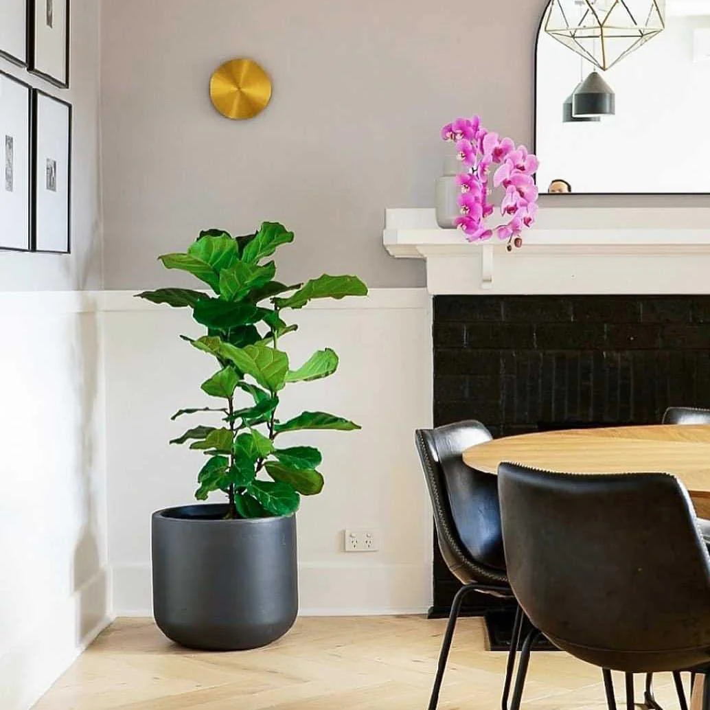 Gossa Wall Lamp - Image 20