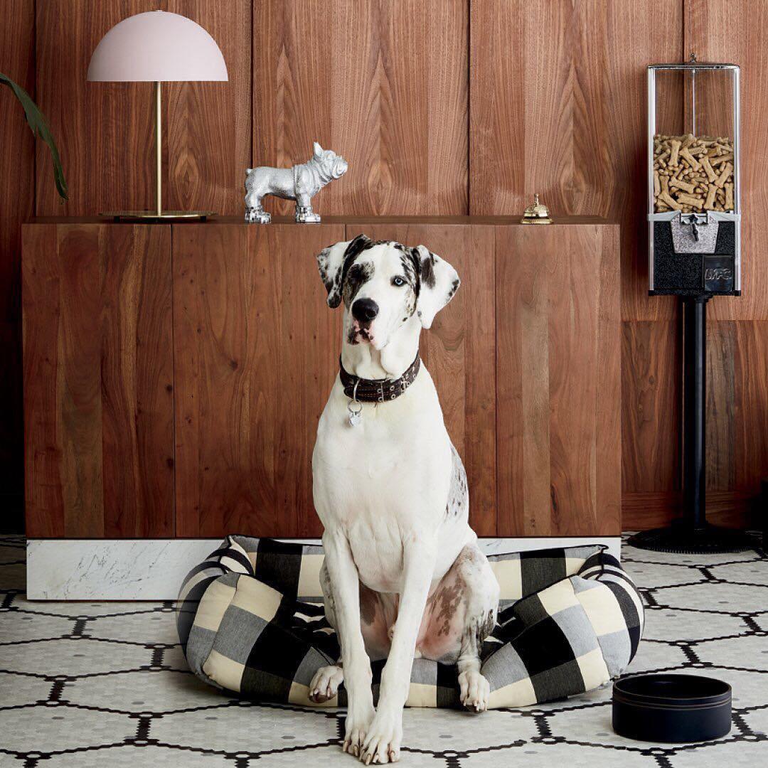 Hanna Table Lamp - Image 9