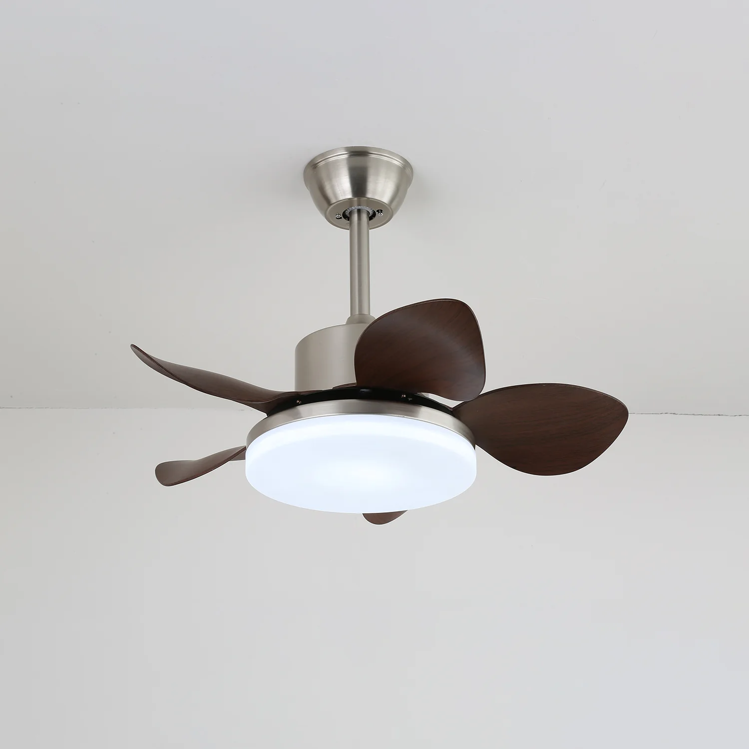Hazel Ceiling Fan Light - Image 4