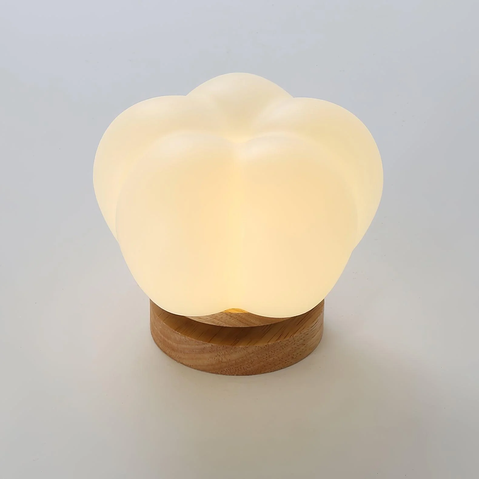 Kapok Flower Mini Ceiling Lamp - Image 13