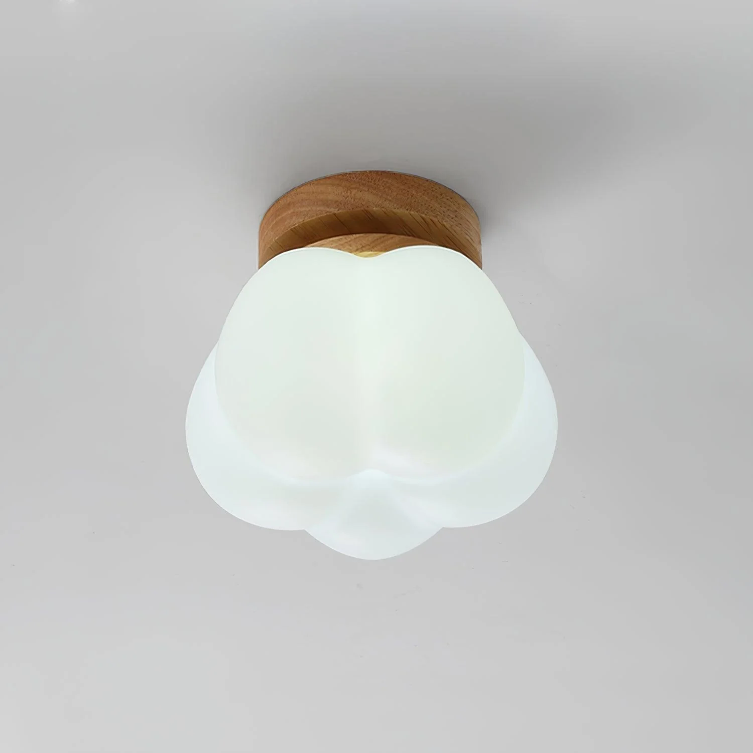 Kapok Flower Mini Ceiling Lamp - Image 14