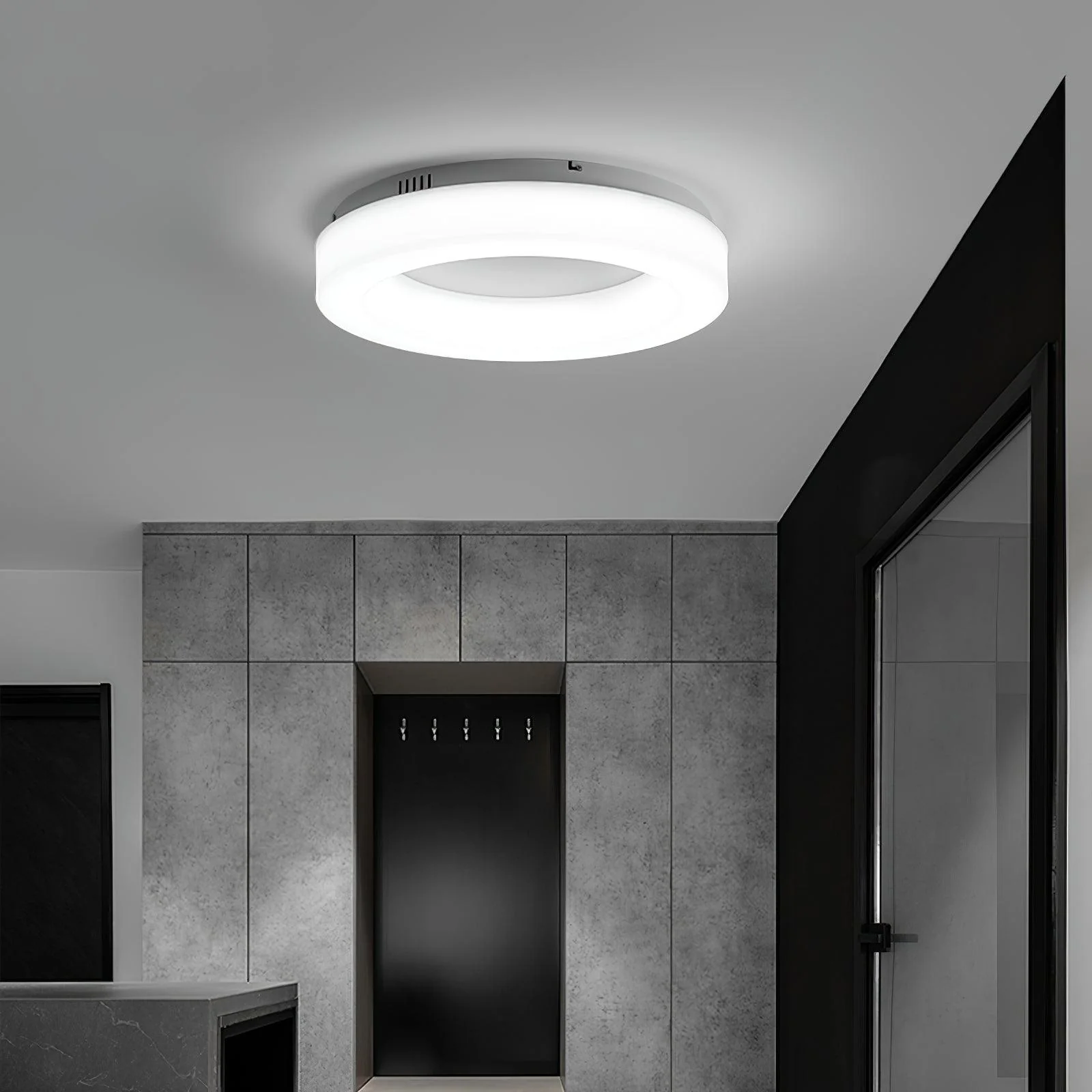 Knock Out Ceiling Light - Image 5