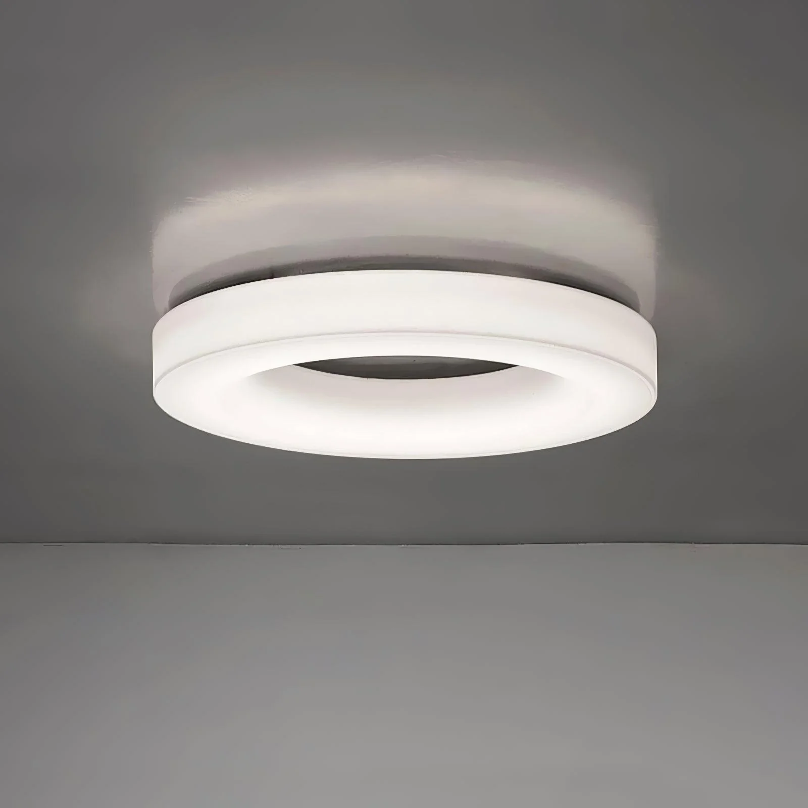 Knock Out Ceiling Light - Image 7