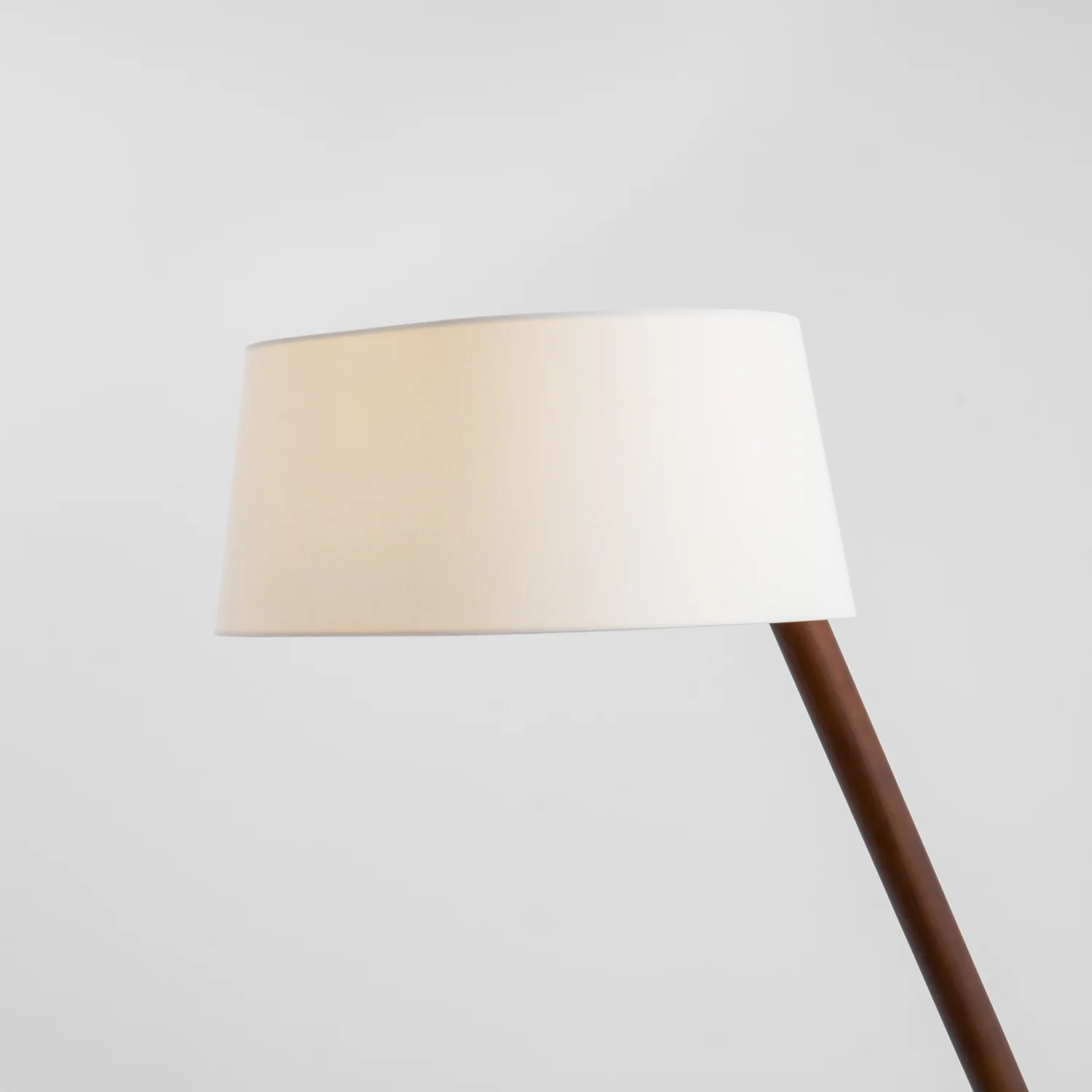 Lean Pivot Floor Lamp - Image 48