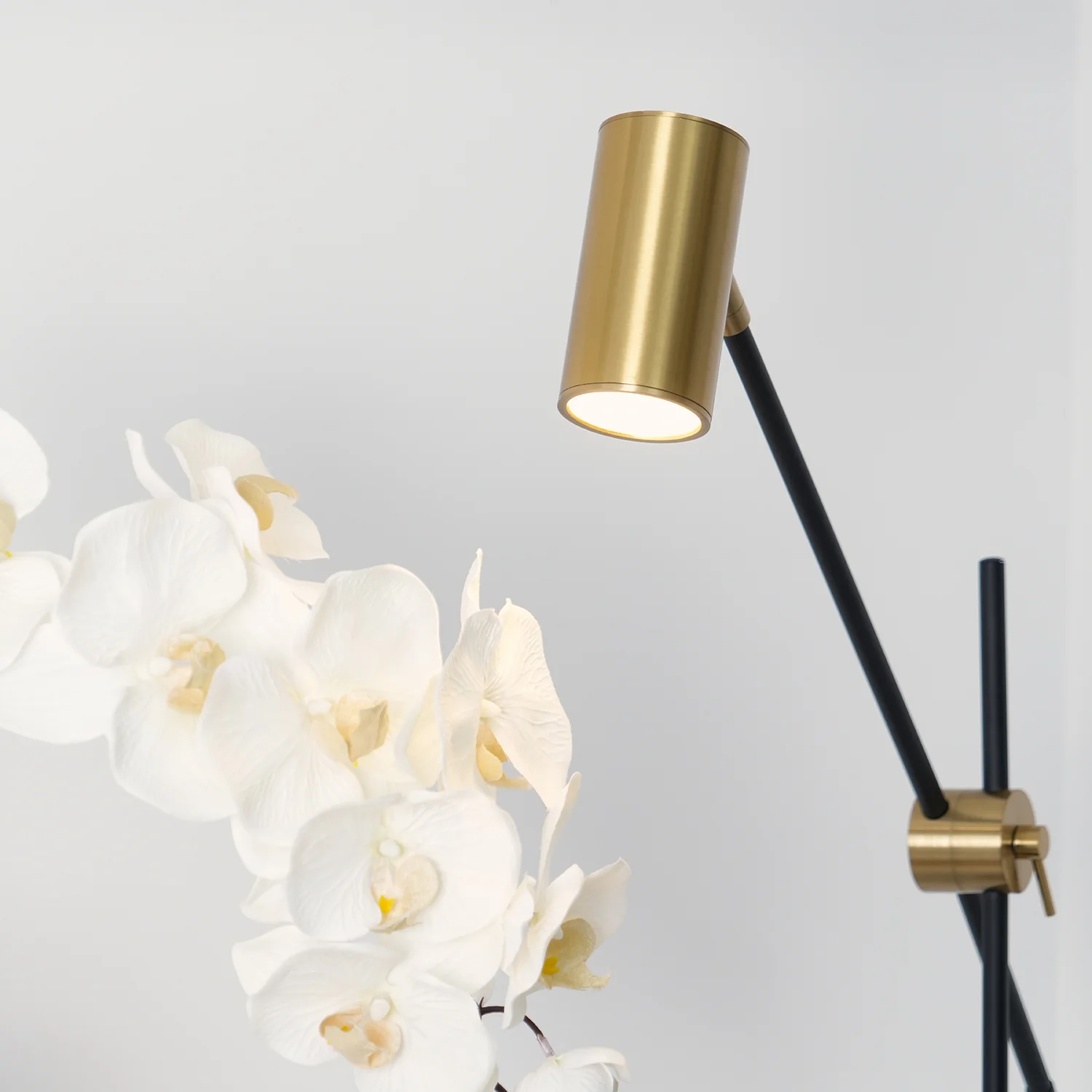 Lektor Table Lamp - Image 44