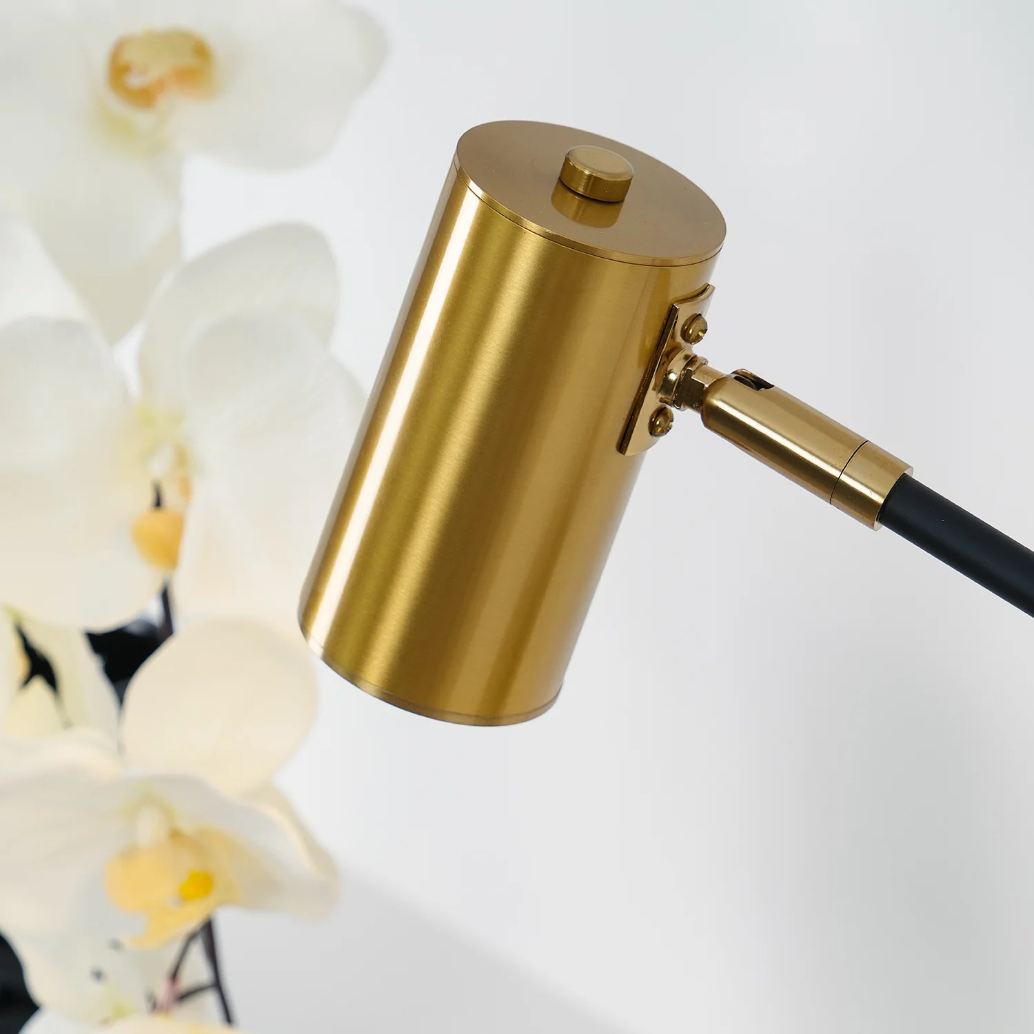 Lektor Table Lamp - Image 52