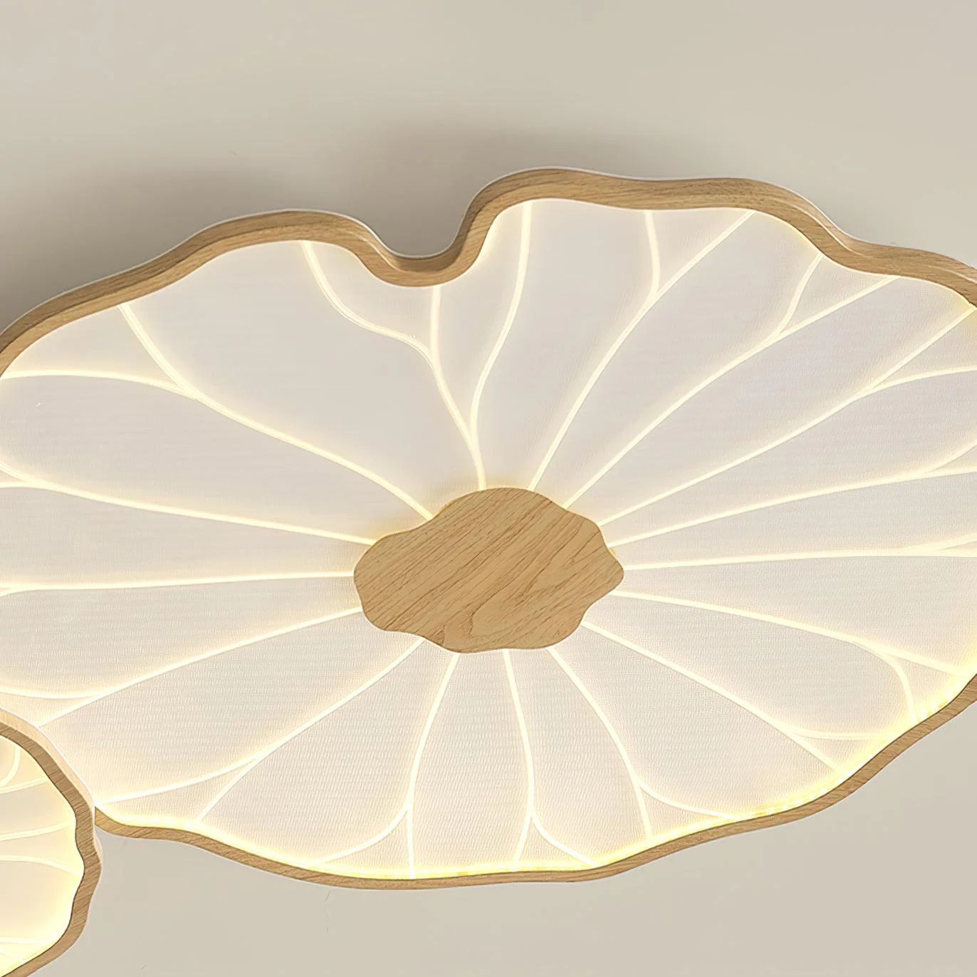 Lotus Leaf Acrylic Ceiling Lamp - Image 22