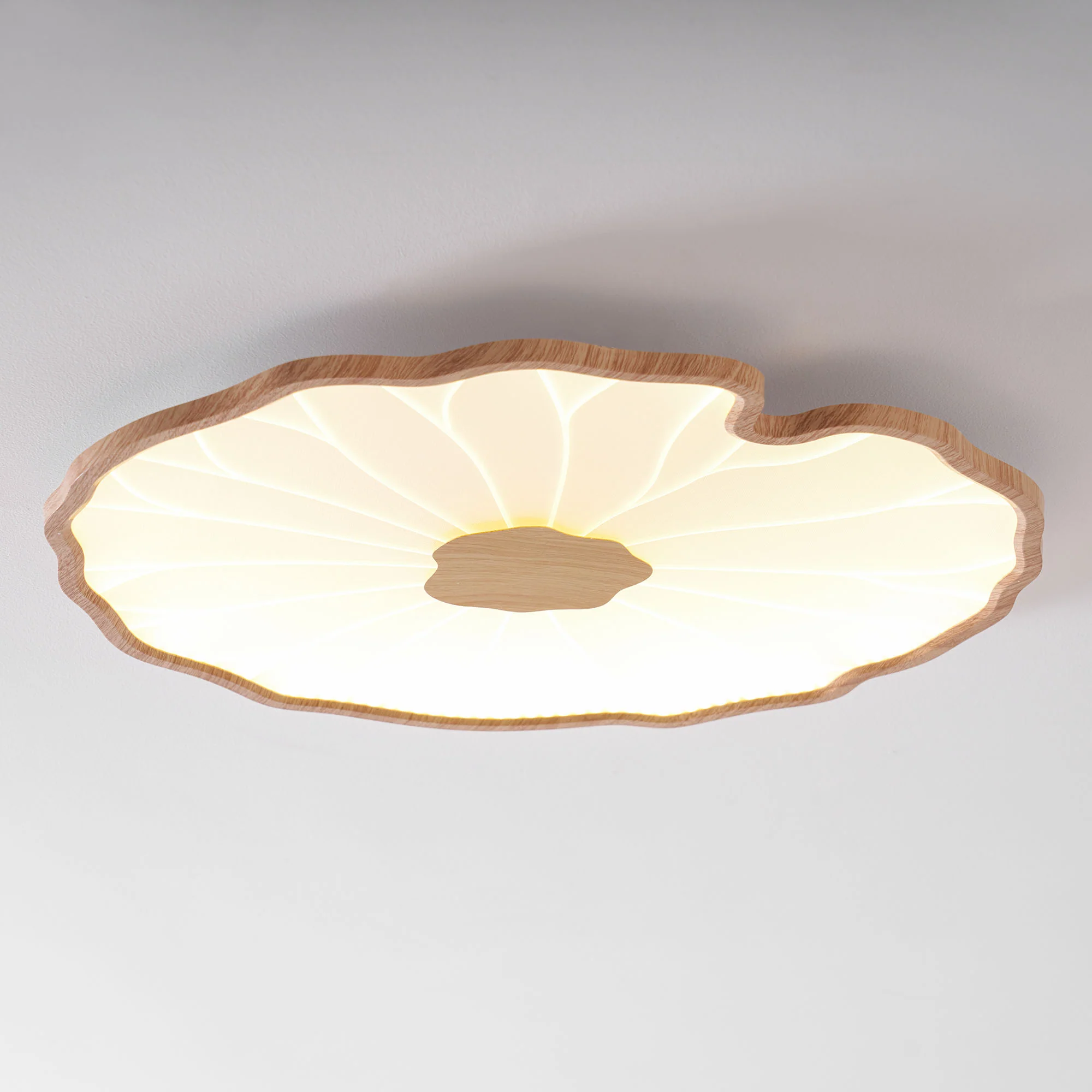 Lotus Leaf Acrylic Ceiling Lamp - Image 42