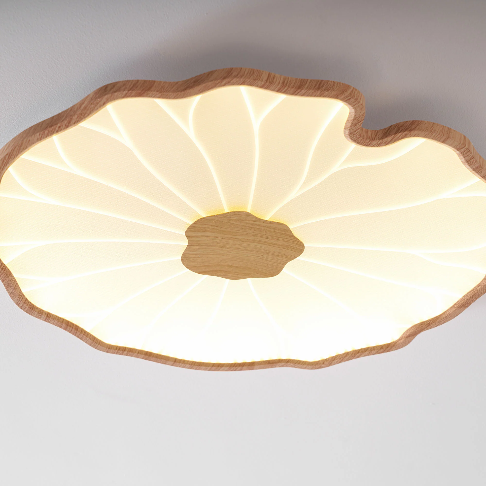 Lotus Leaf Acrylic Ceiling Lamp - Image 43