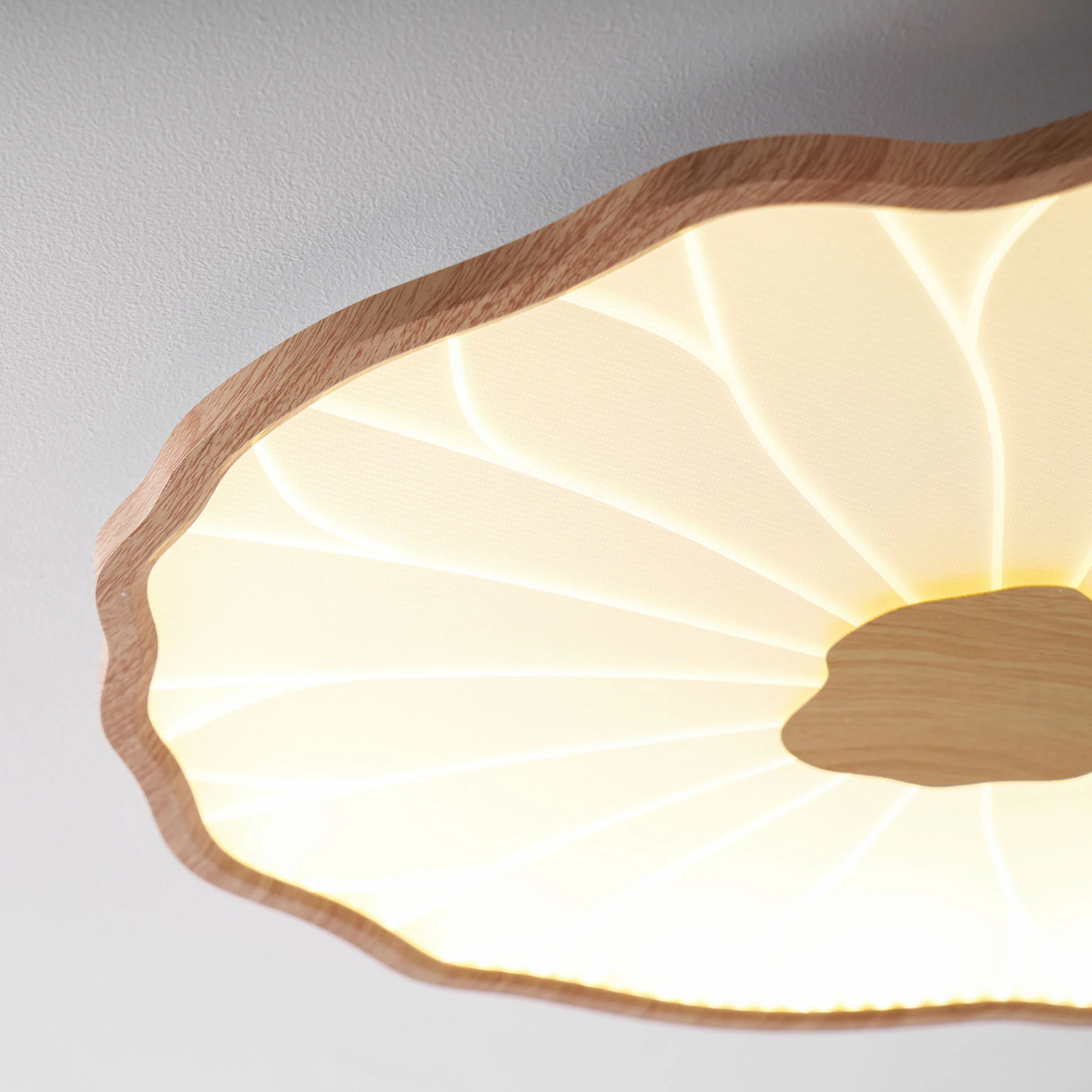 Lotus Leaf Acrylic Ceiling Lamp - Image 44