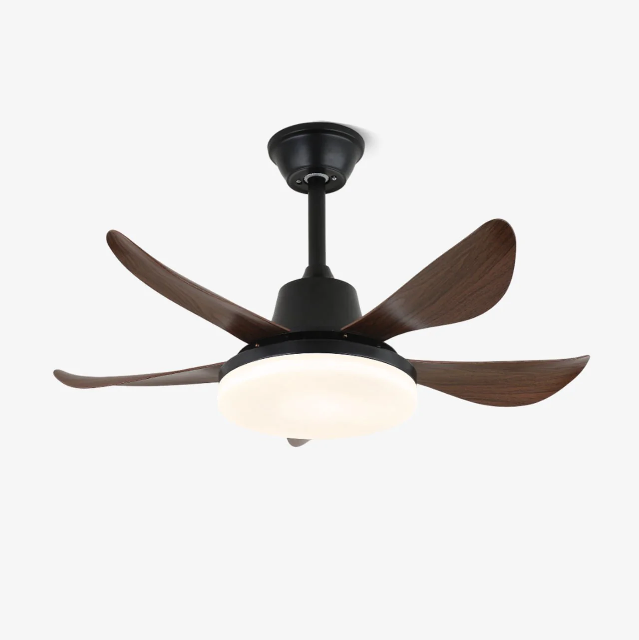 Lucas Ceiling Fan Light - Image 4