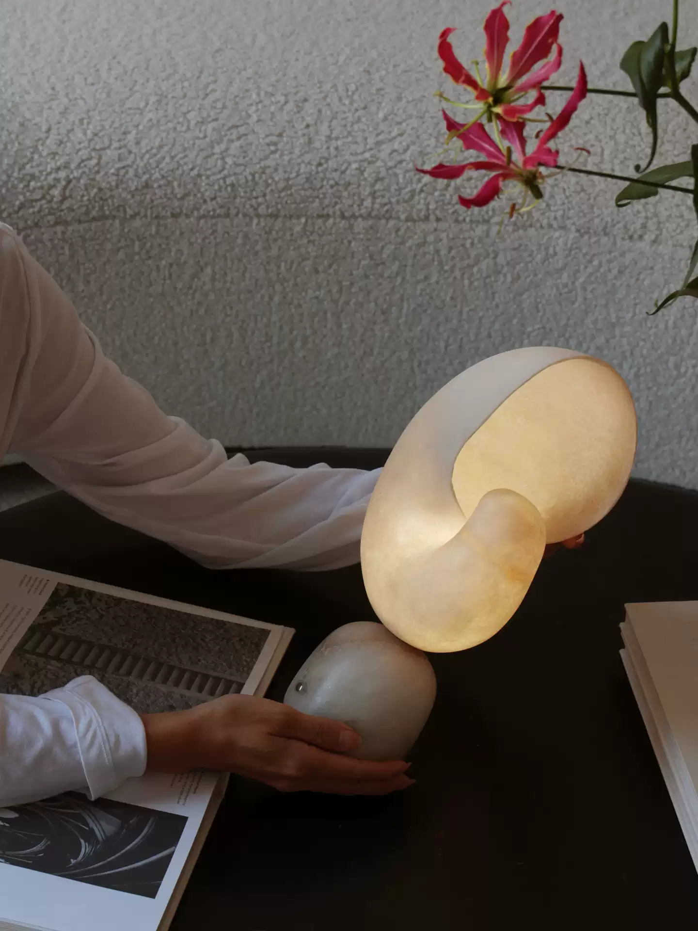 Lumora Shell Table Lamp - Image 5