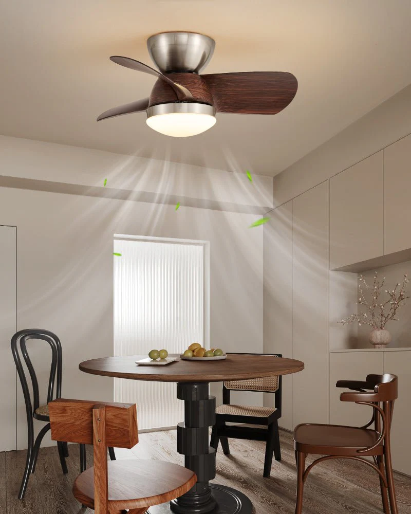 Miroter Ceiling Fan Light - Image 7