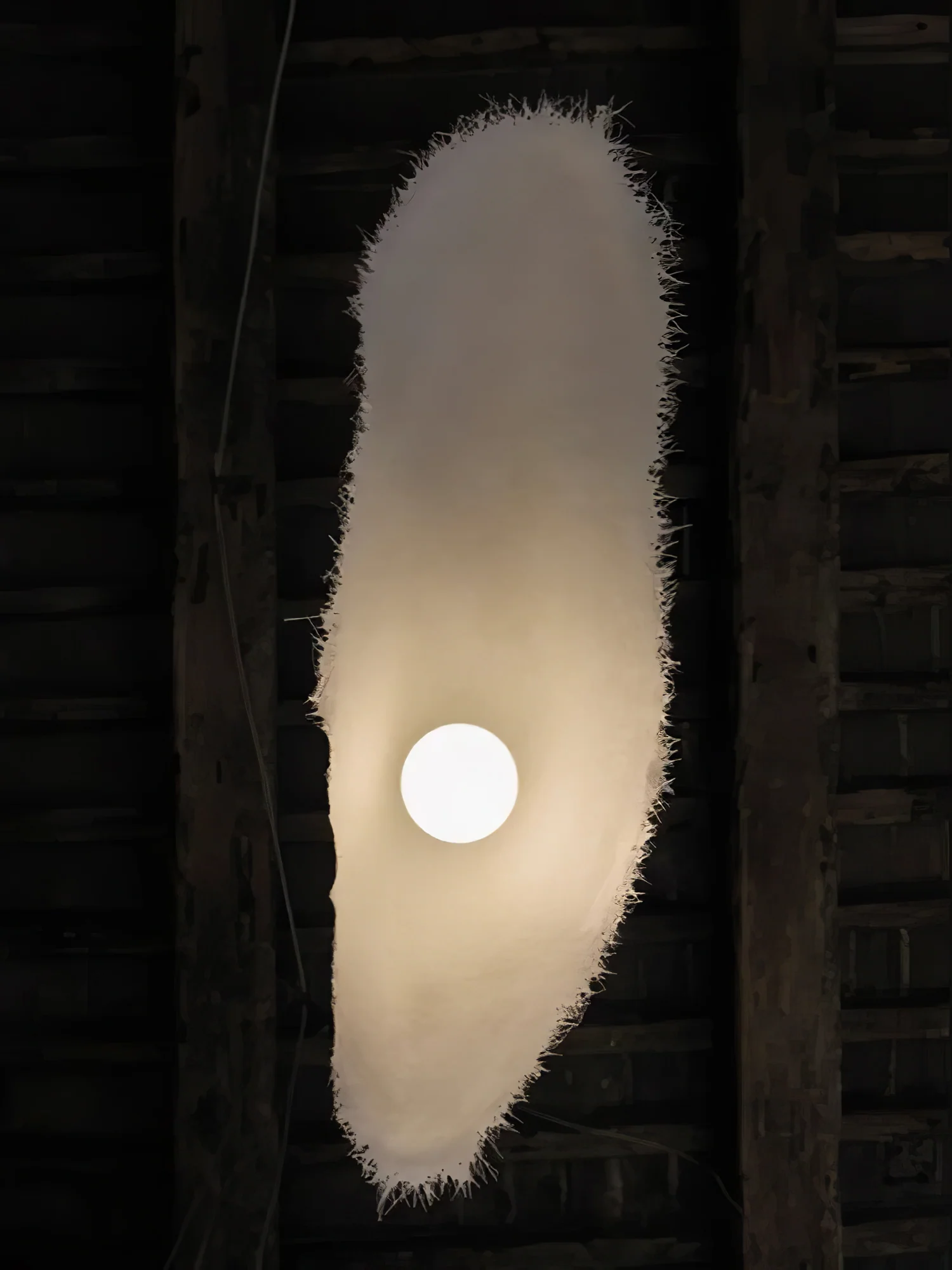 Moby Dick Pendant Light - Image 11