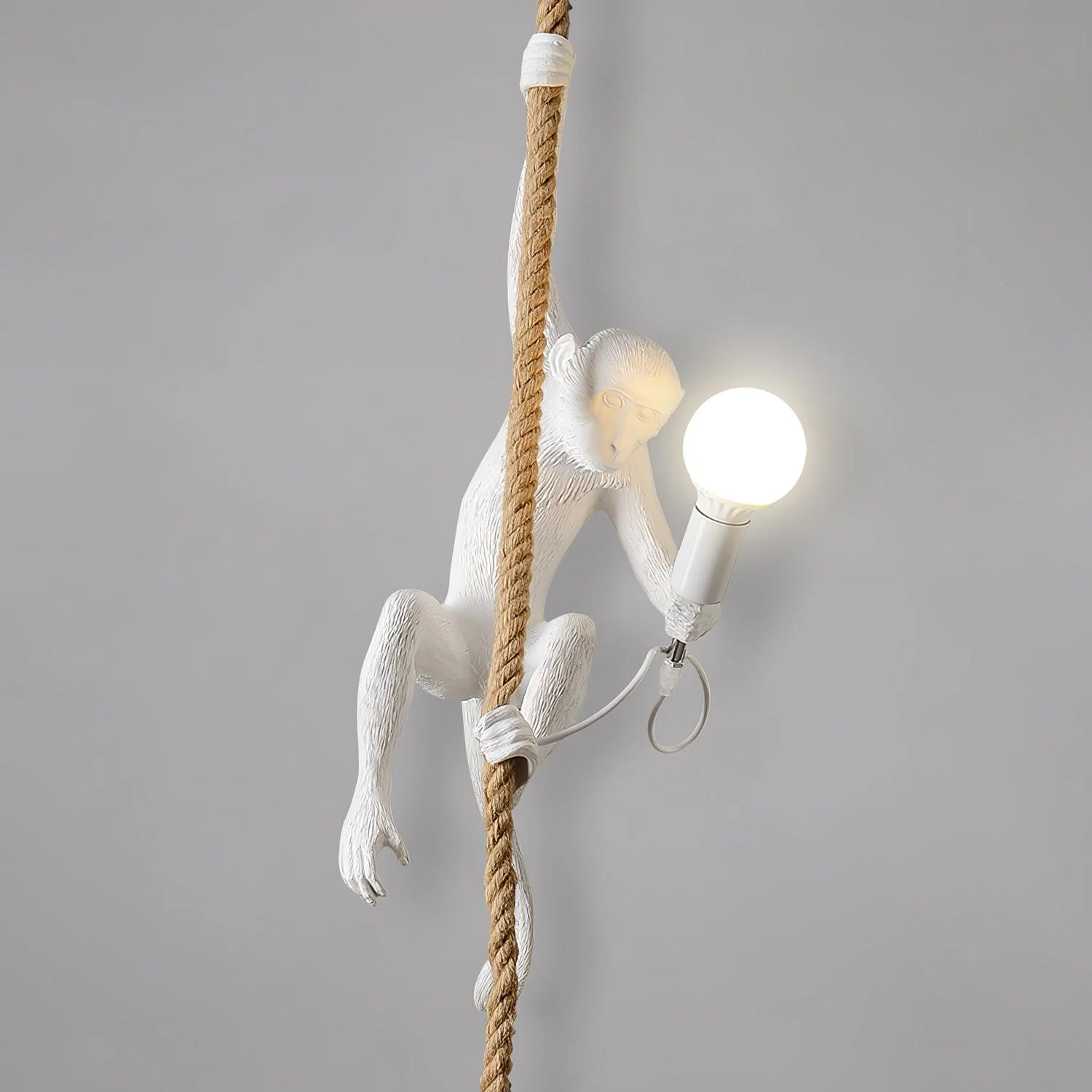Monkey Pendant Lamp - Image 35