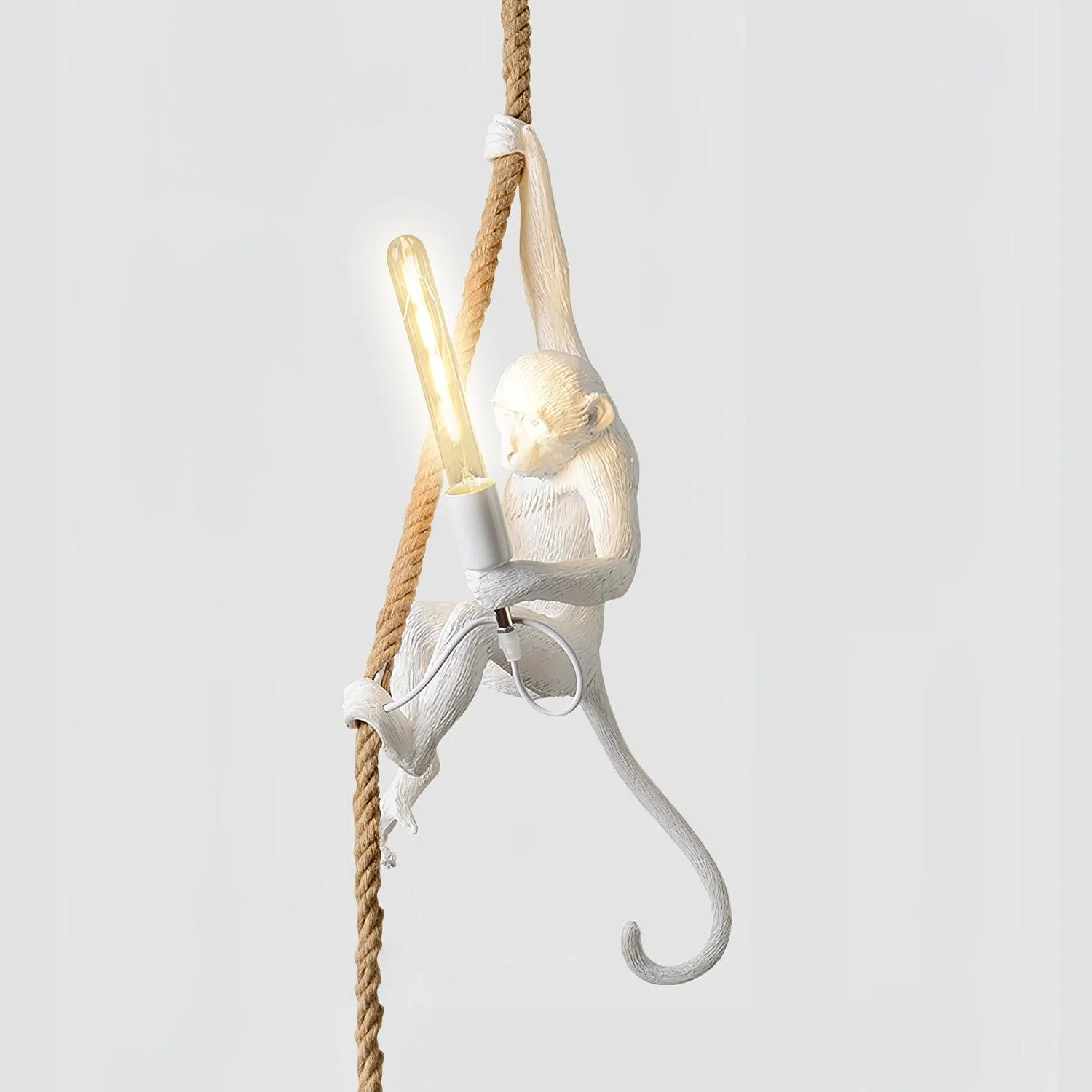 Monkey Pendant Lamp - Image 48