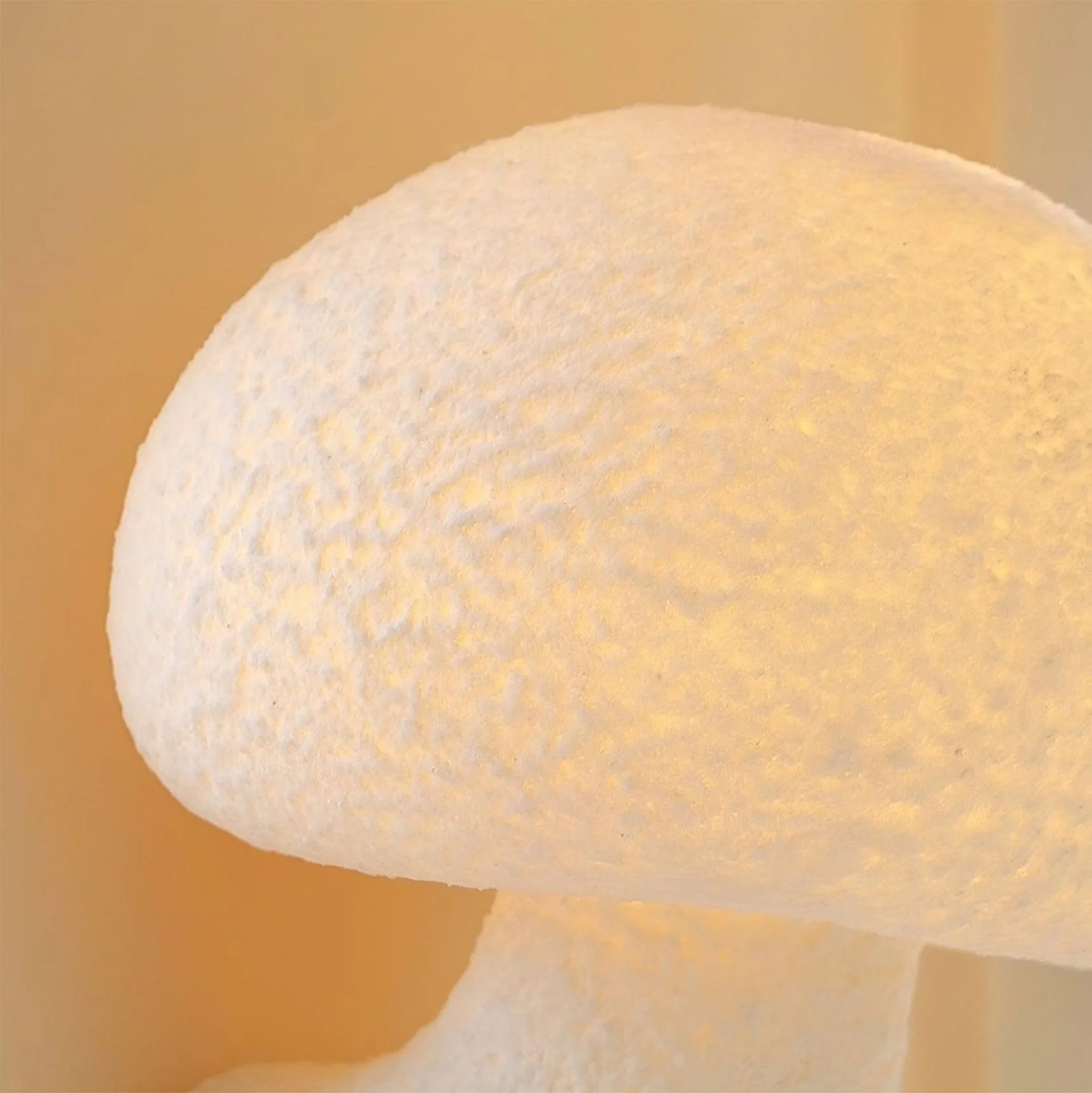 Mushroom Resin Wall Lamp - Image 22