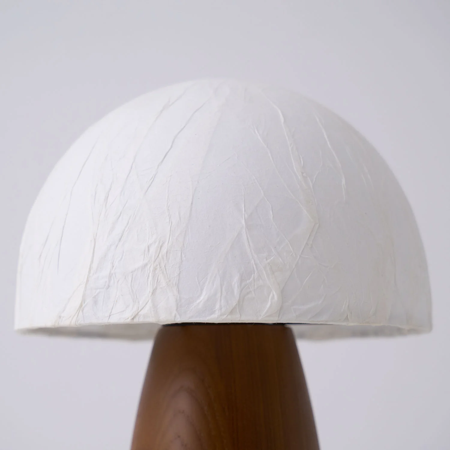 Myco Mushroom Table Lamp - Image 14