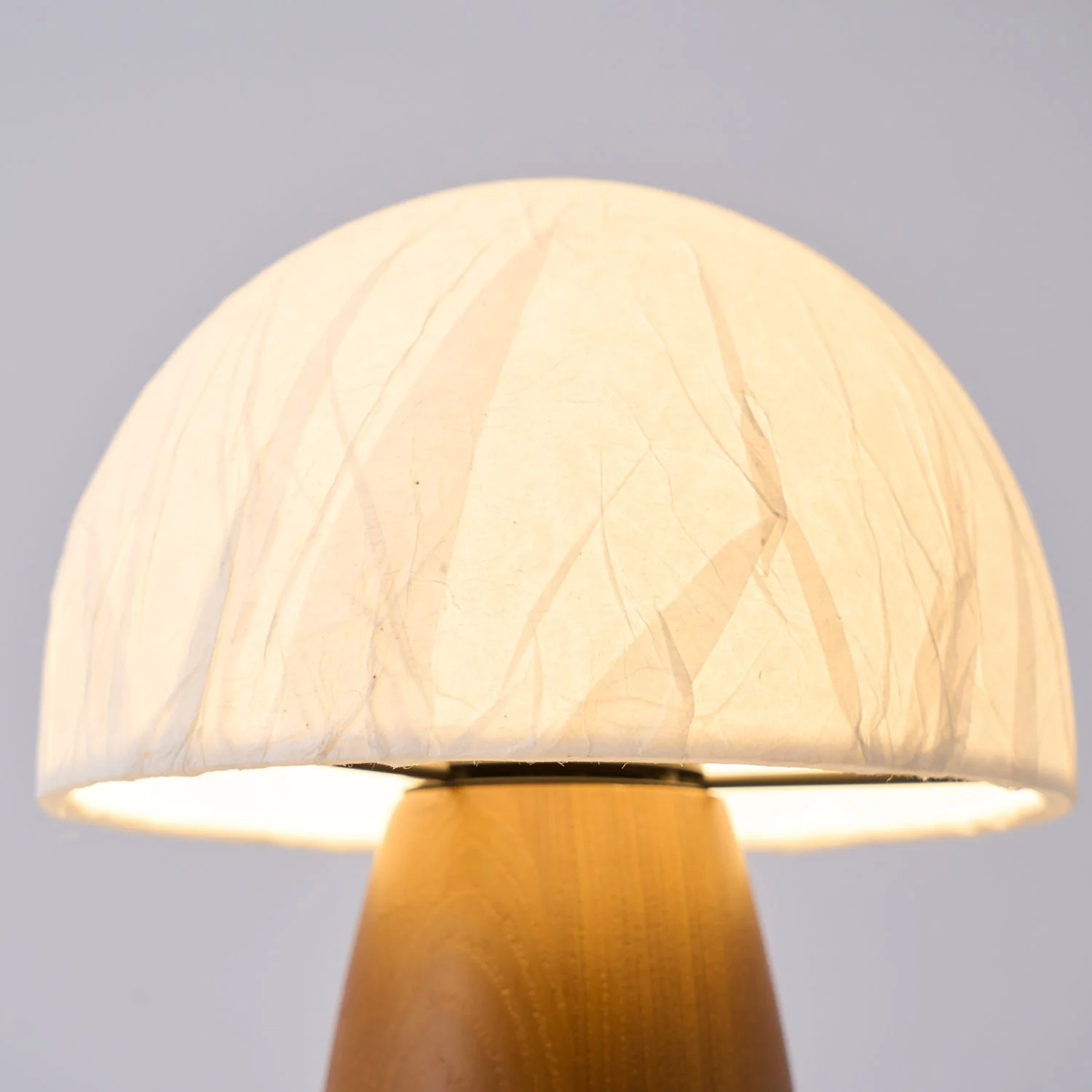 Myco Mushroom Table Lamp - Image 9