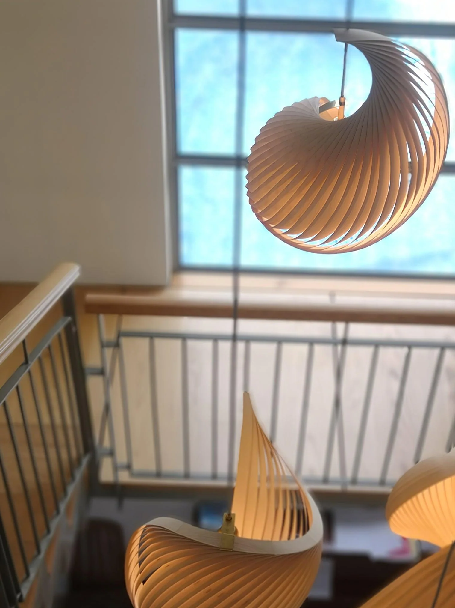 Nautilus Shell Pendant Light - Image 6