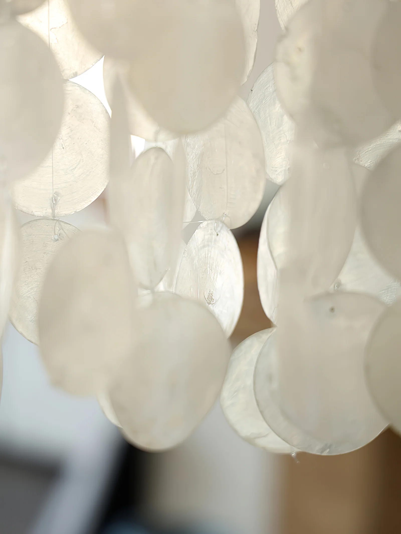 Nerida Shell Chandelier - Image 15