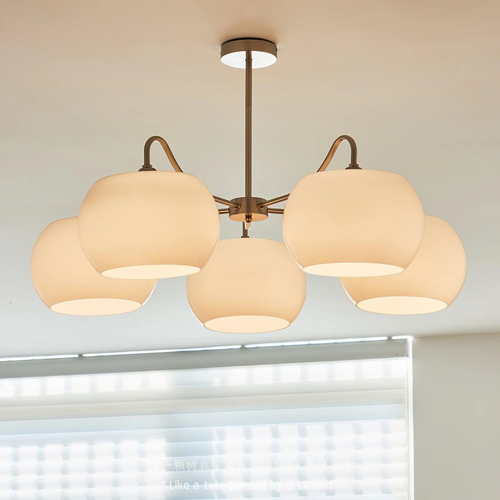 Glass Persimmon Chandelier - Image 23