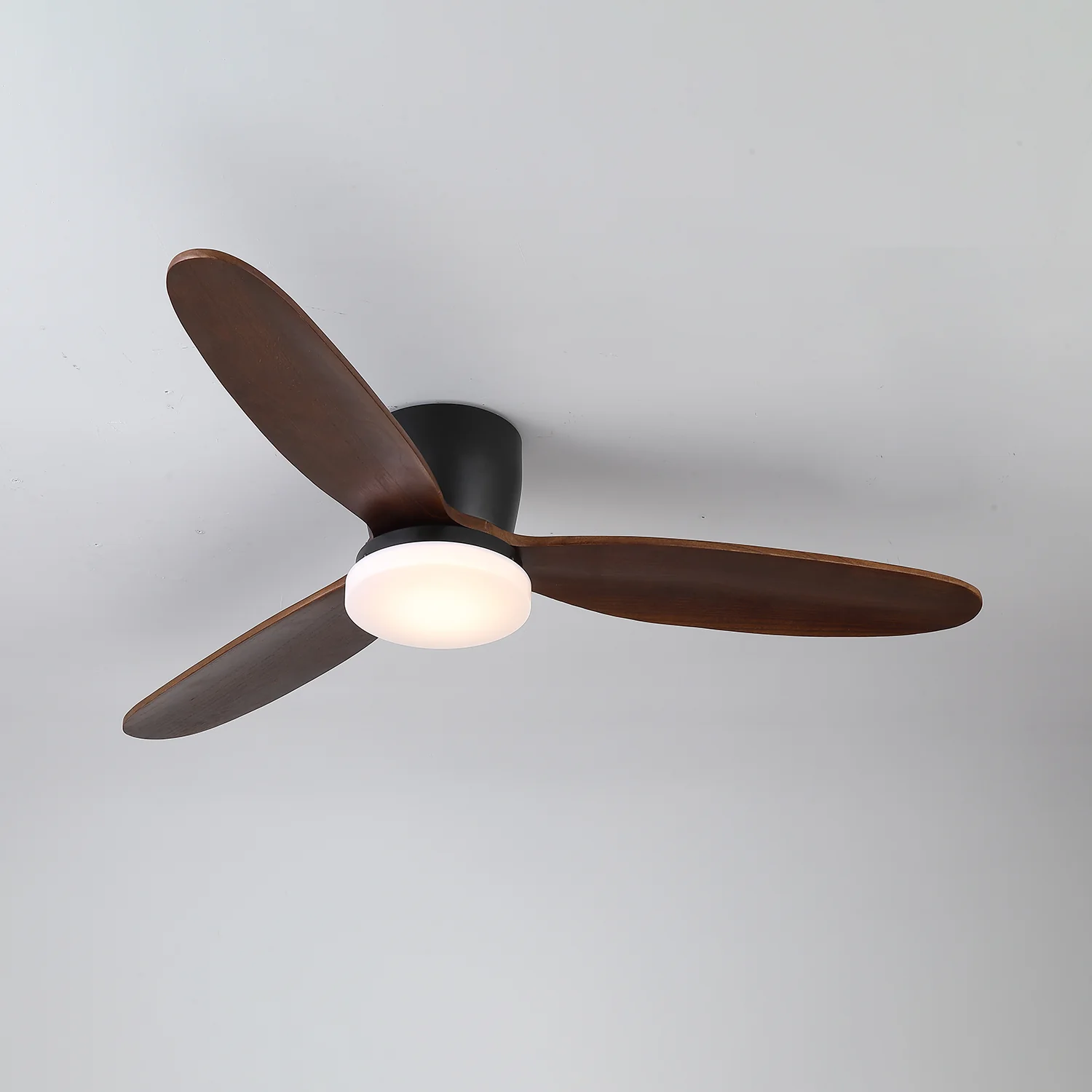 Nocturnus Ceiling Fan Light - Image 10