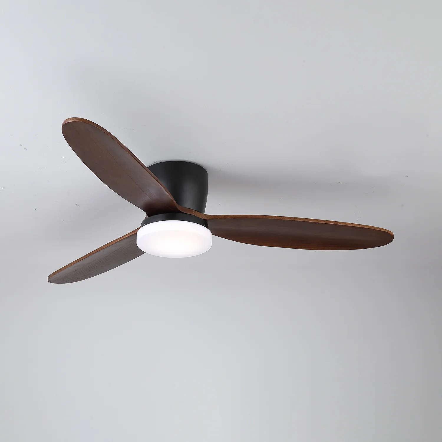 Nocturnus Ceiling Fan Light - Image 9
