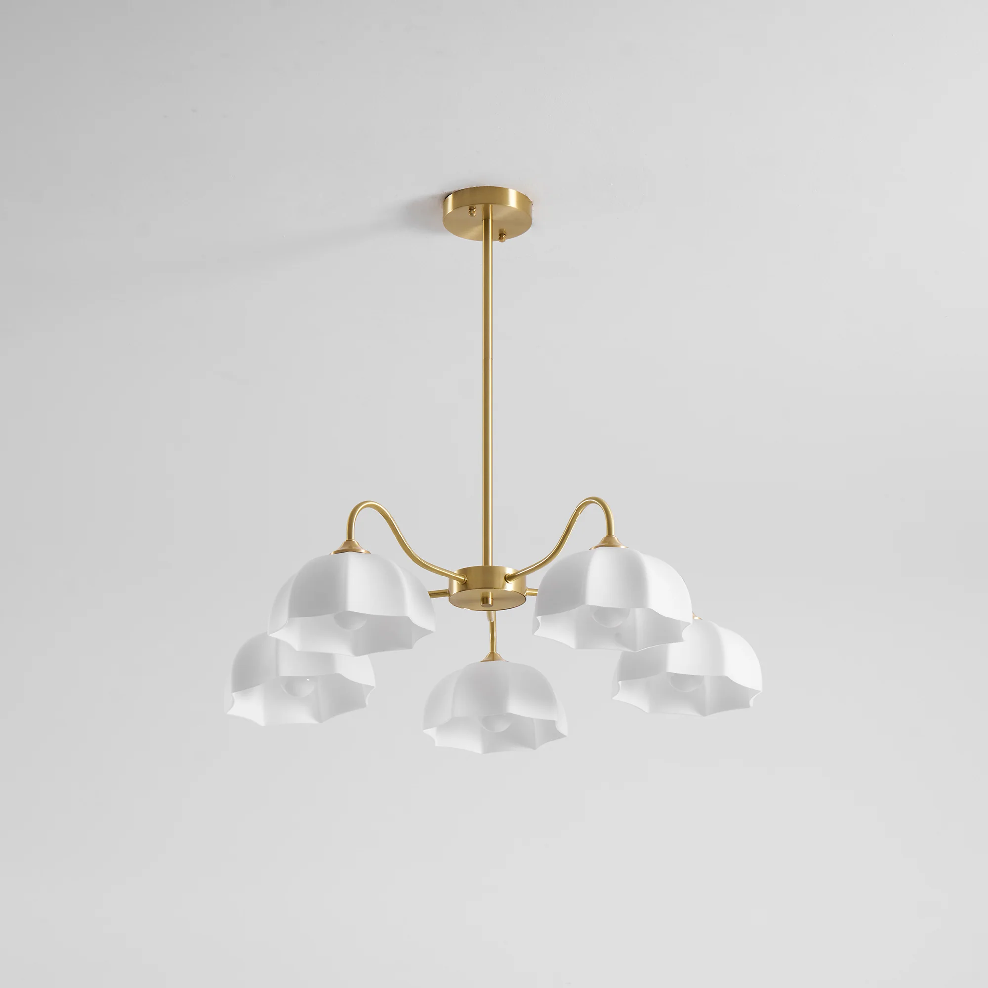 Octagonal Glass Bowl Chandelier - Image 47