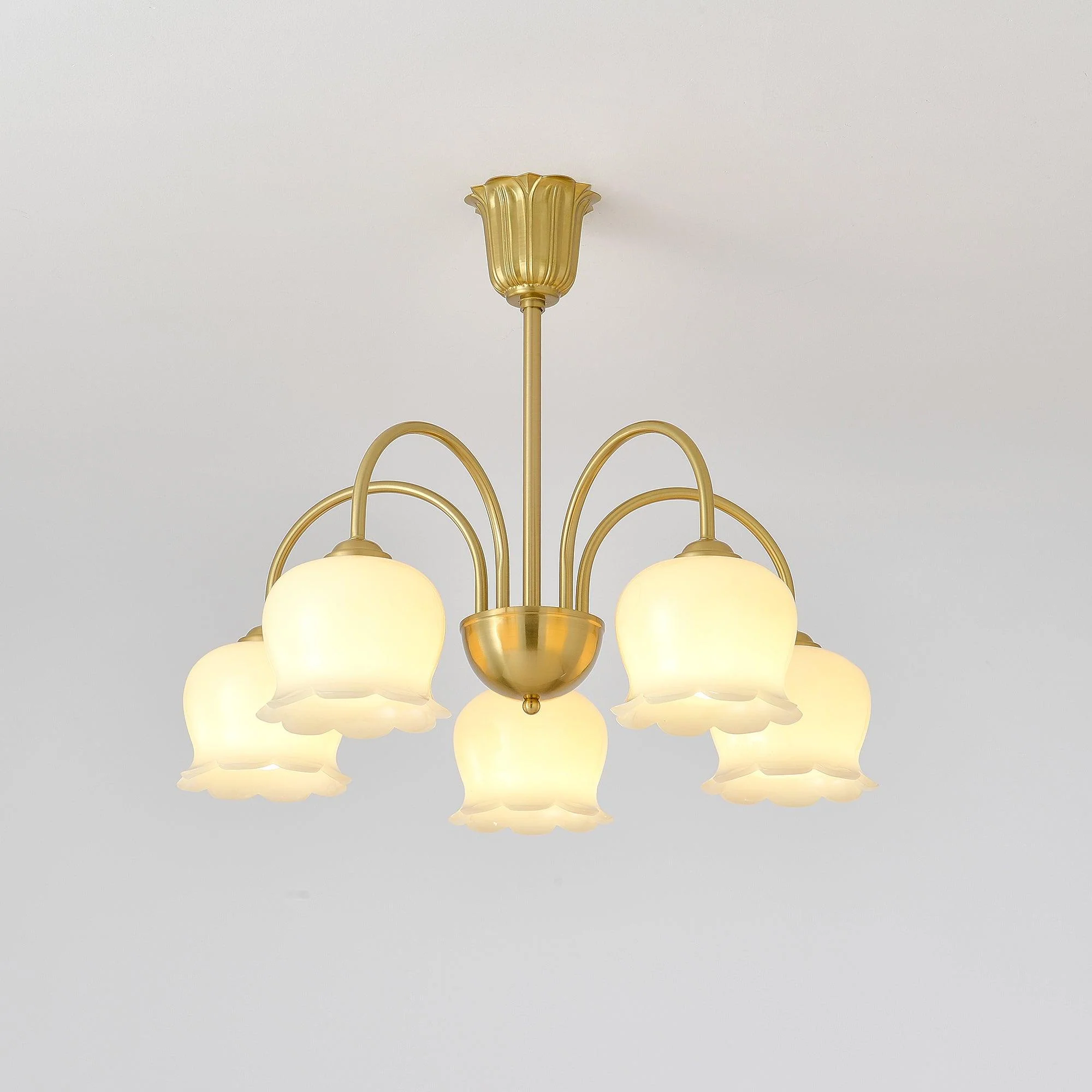 Orchids Brass Chandelier - Image 29