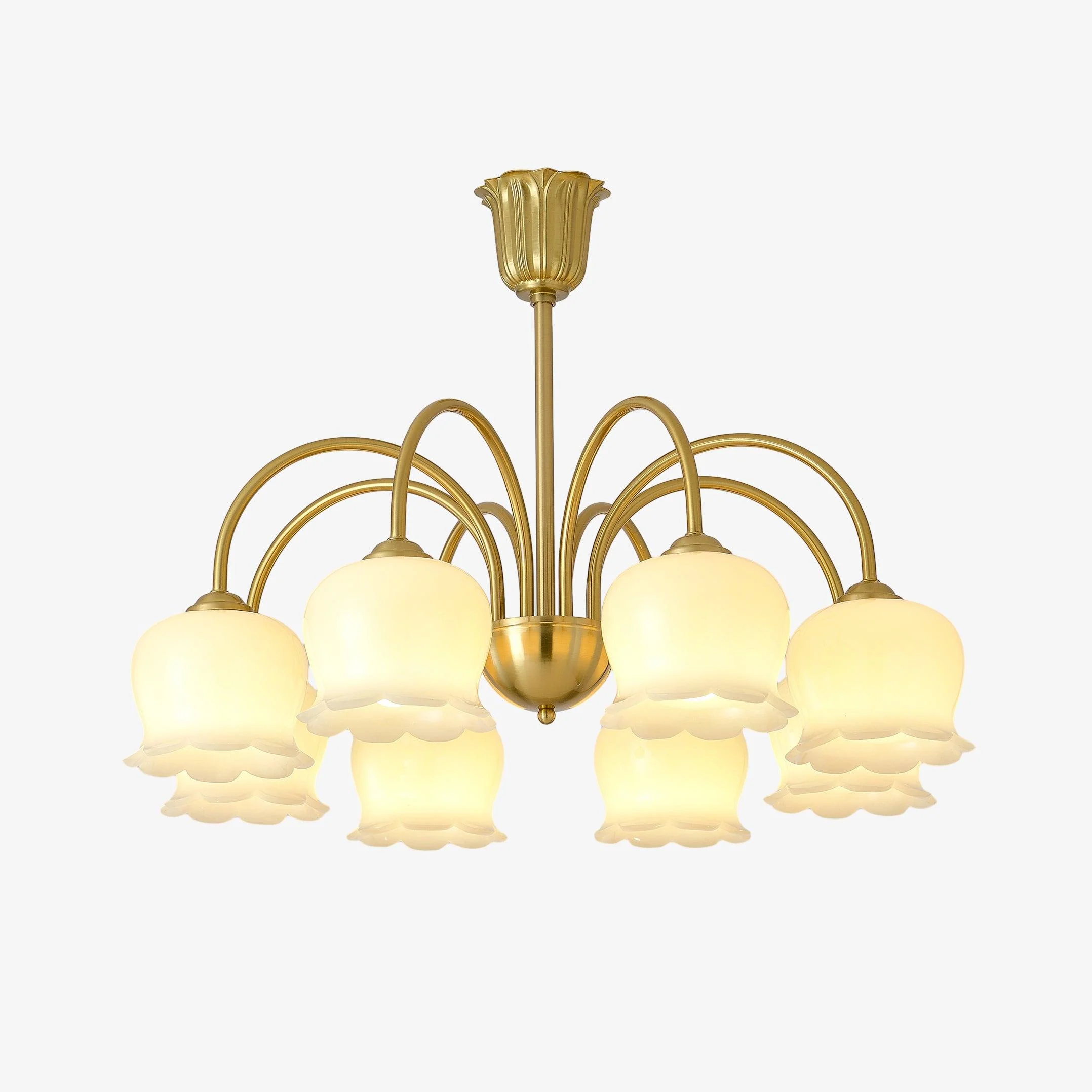 Orchids Brass Chandelier - Image 30