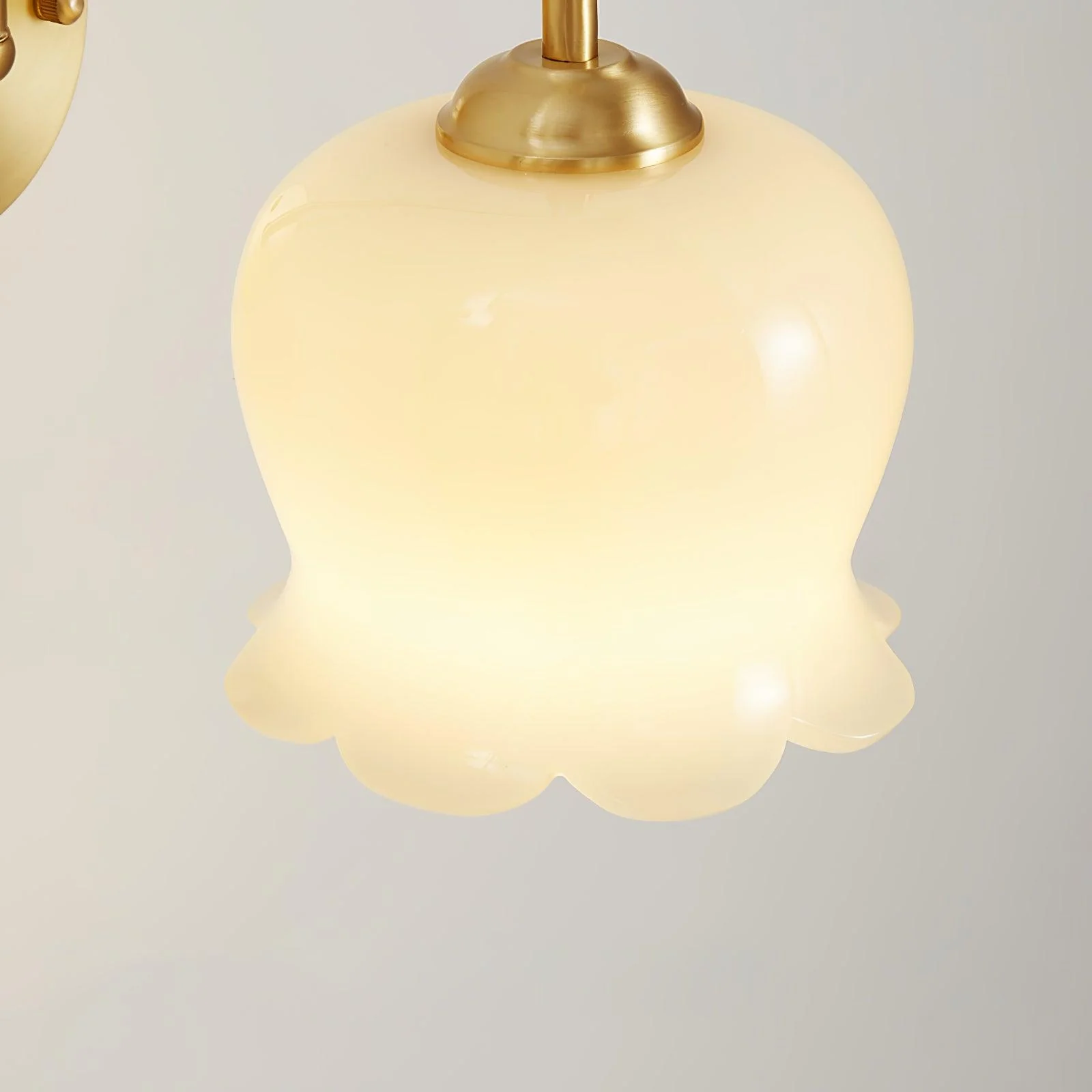 Orchids Wall Lamp - Image 6