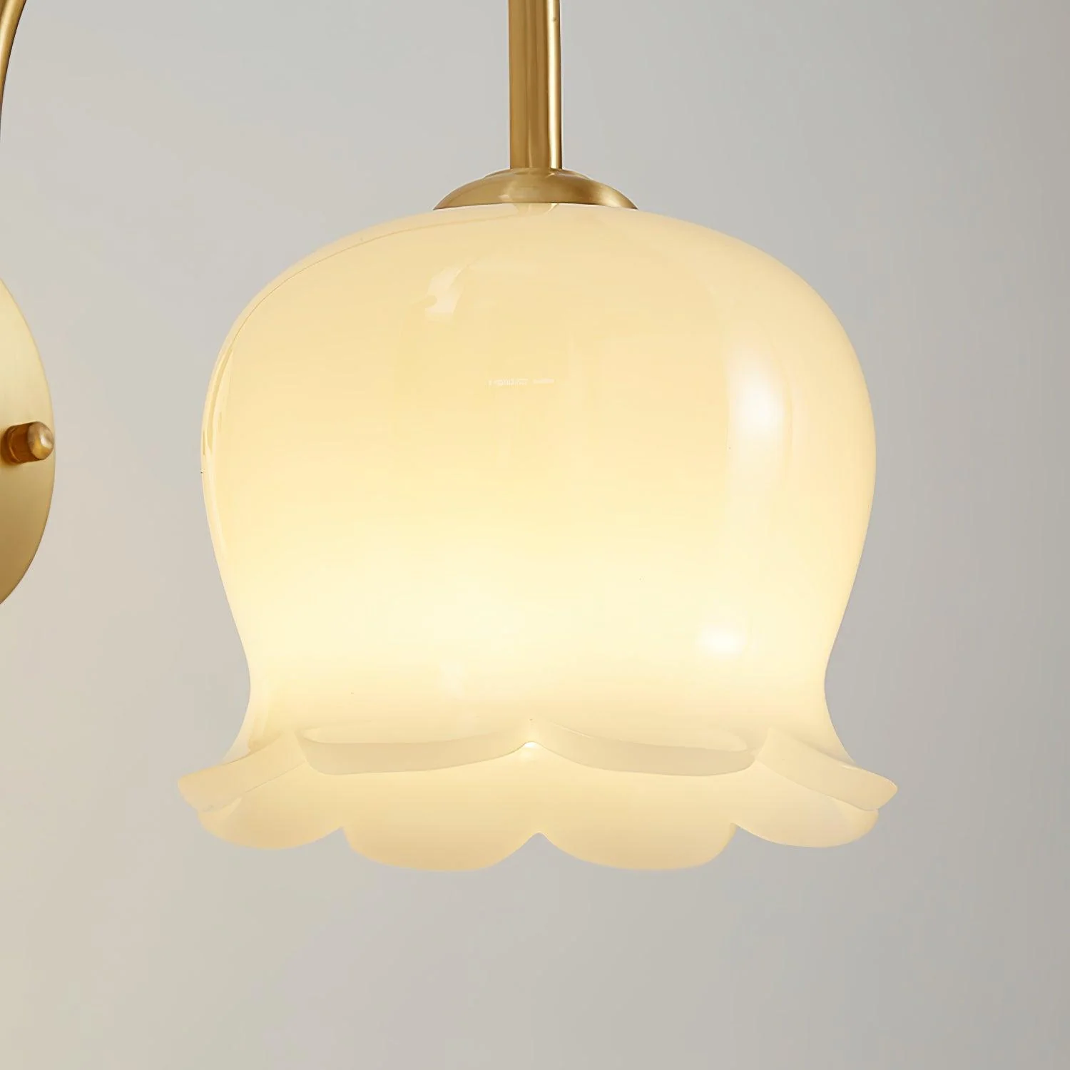 Orchids Wall Lamp - Image 9