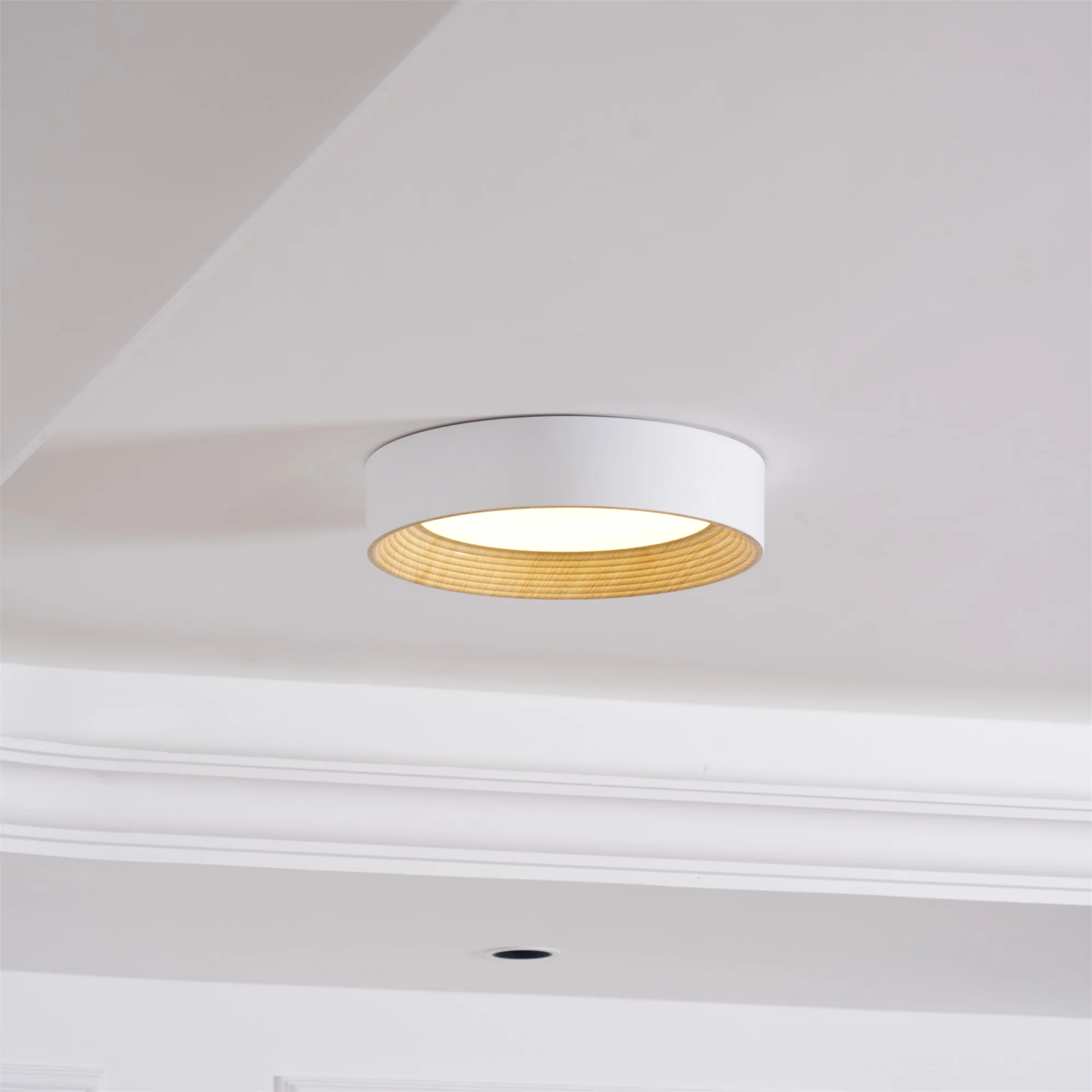 Oreen Ceiling Lamp - Image 4