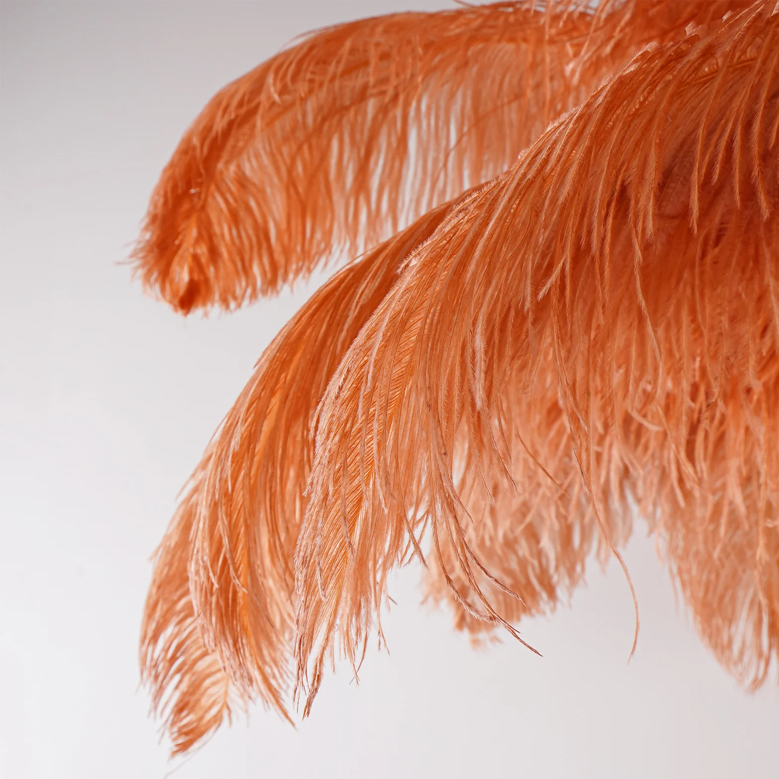 Ostrich Feather Brass Floor Lamp - Image 143
