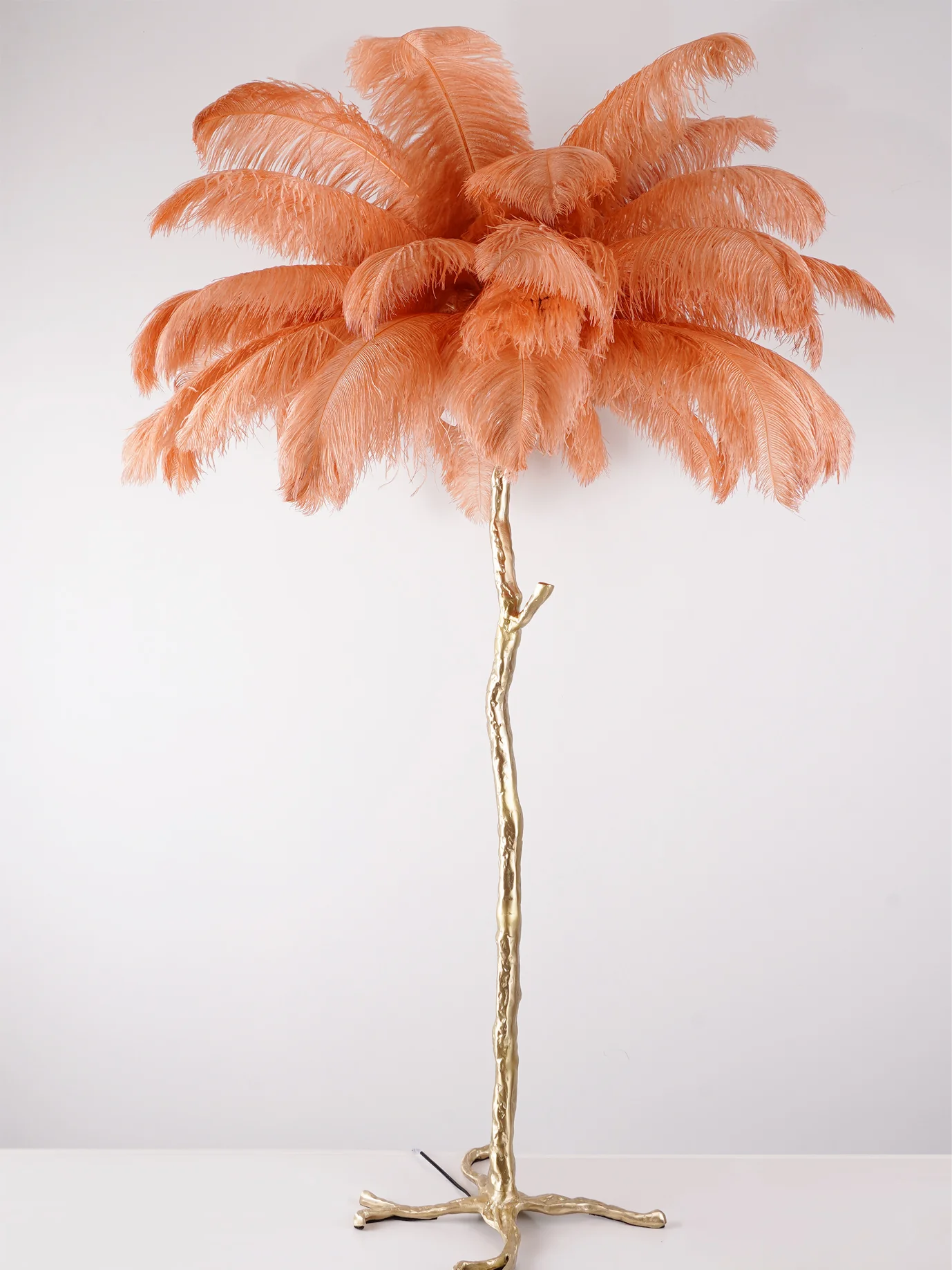Ostrich Feather Brass Floor Lamp - Image 145
