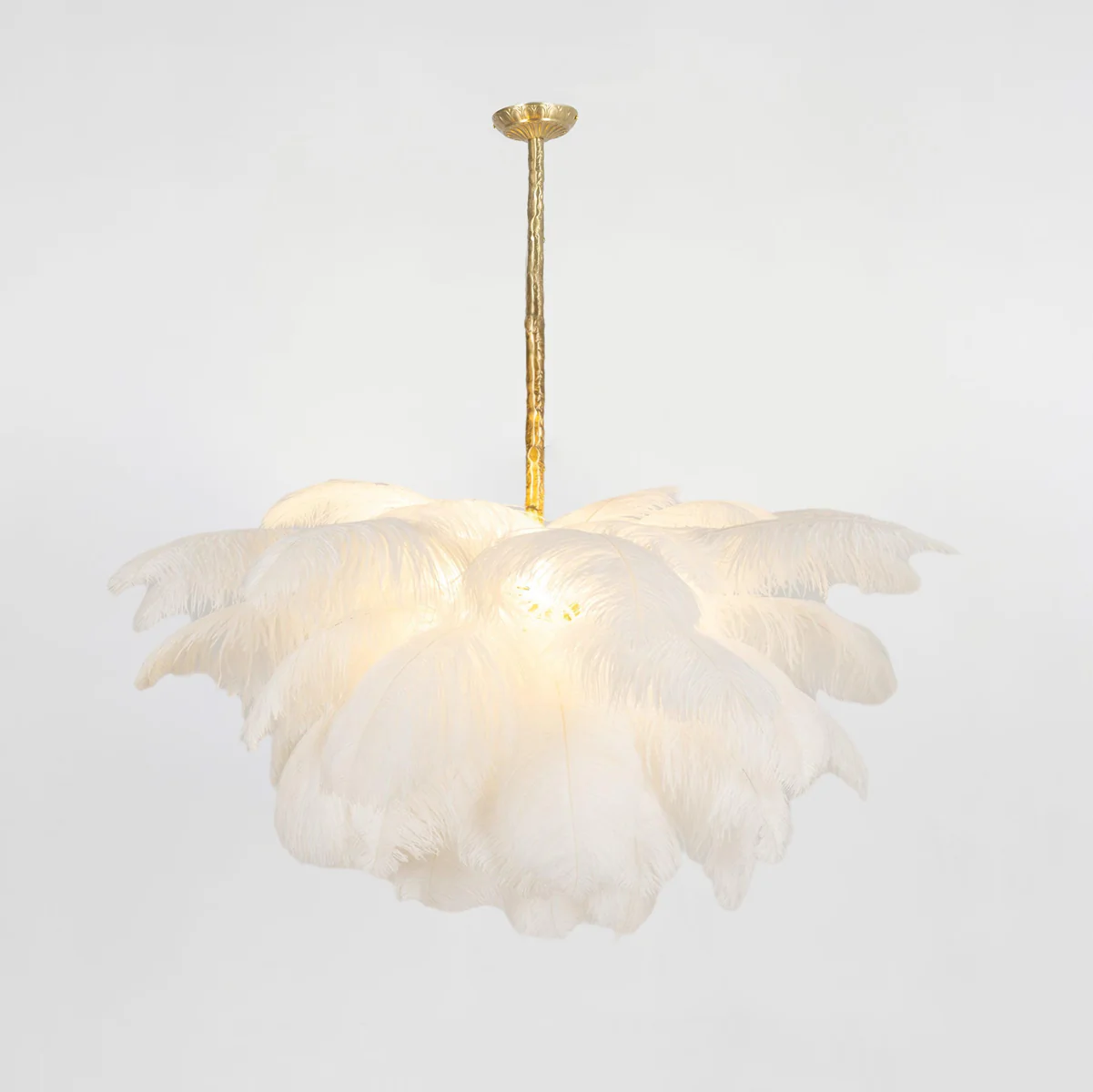 Ostrich Feather Chandelier - Image 168