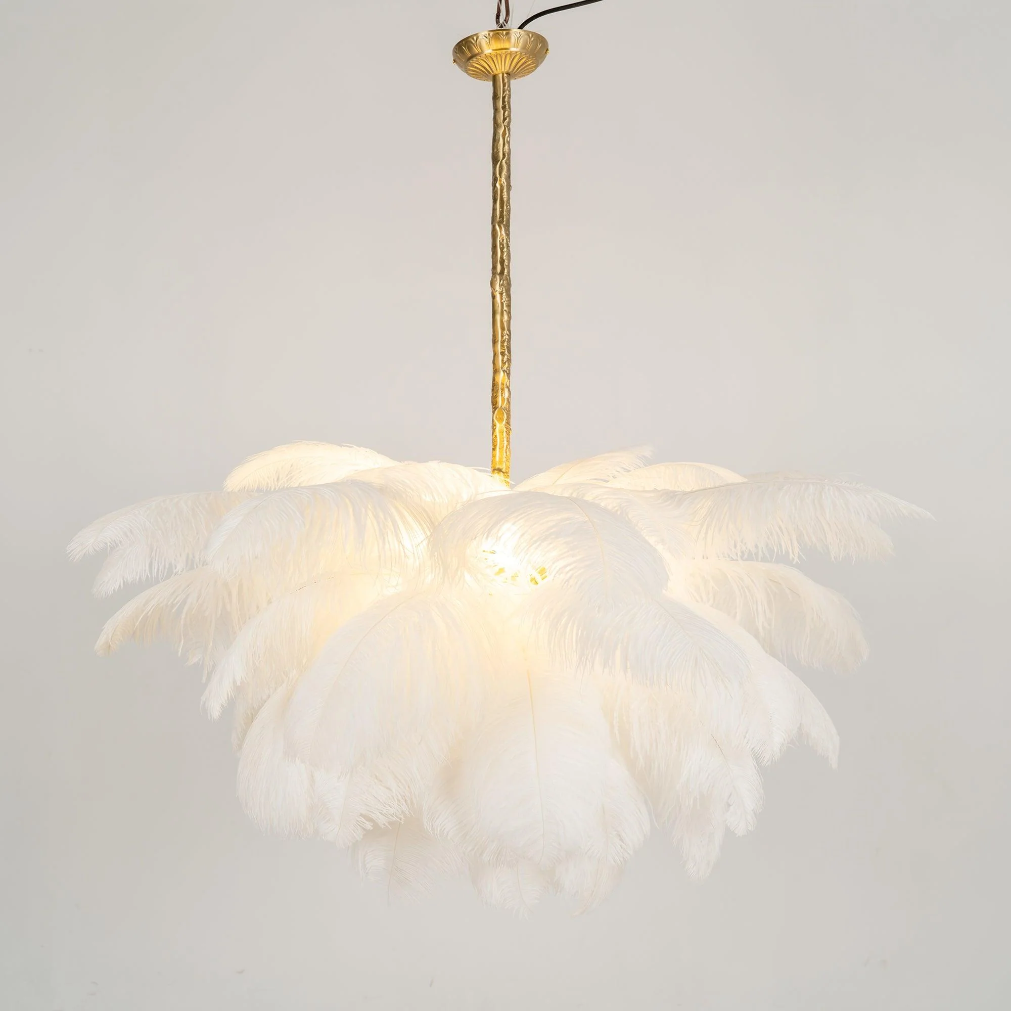 Ostrich Feather Chandelier - Image 66
