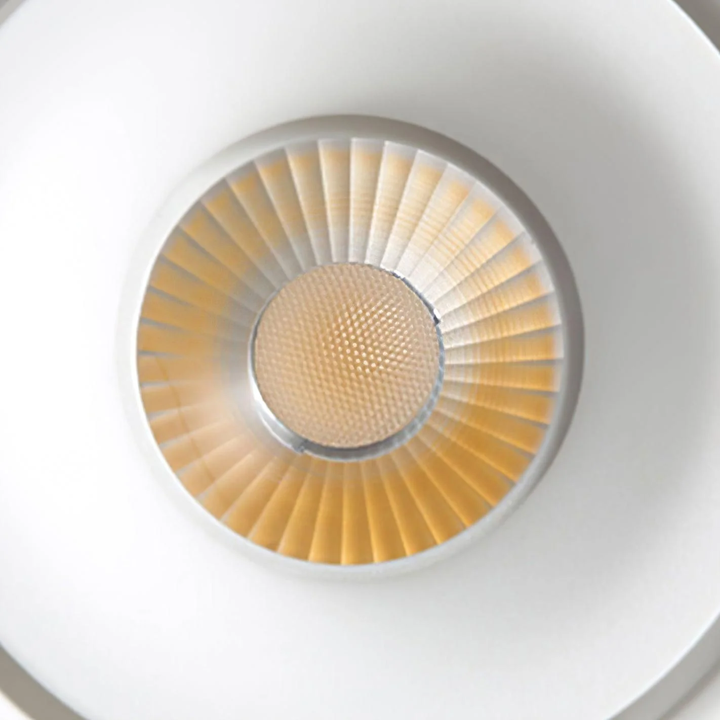 Paloma Ceiling Light - Image 22