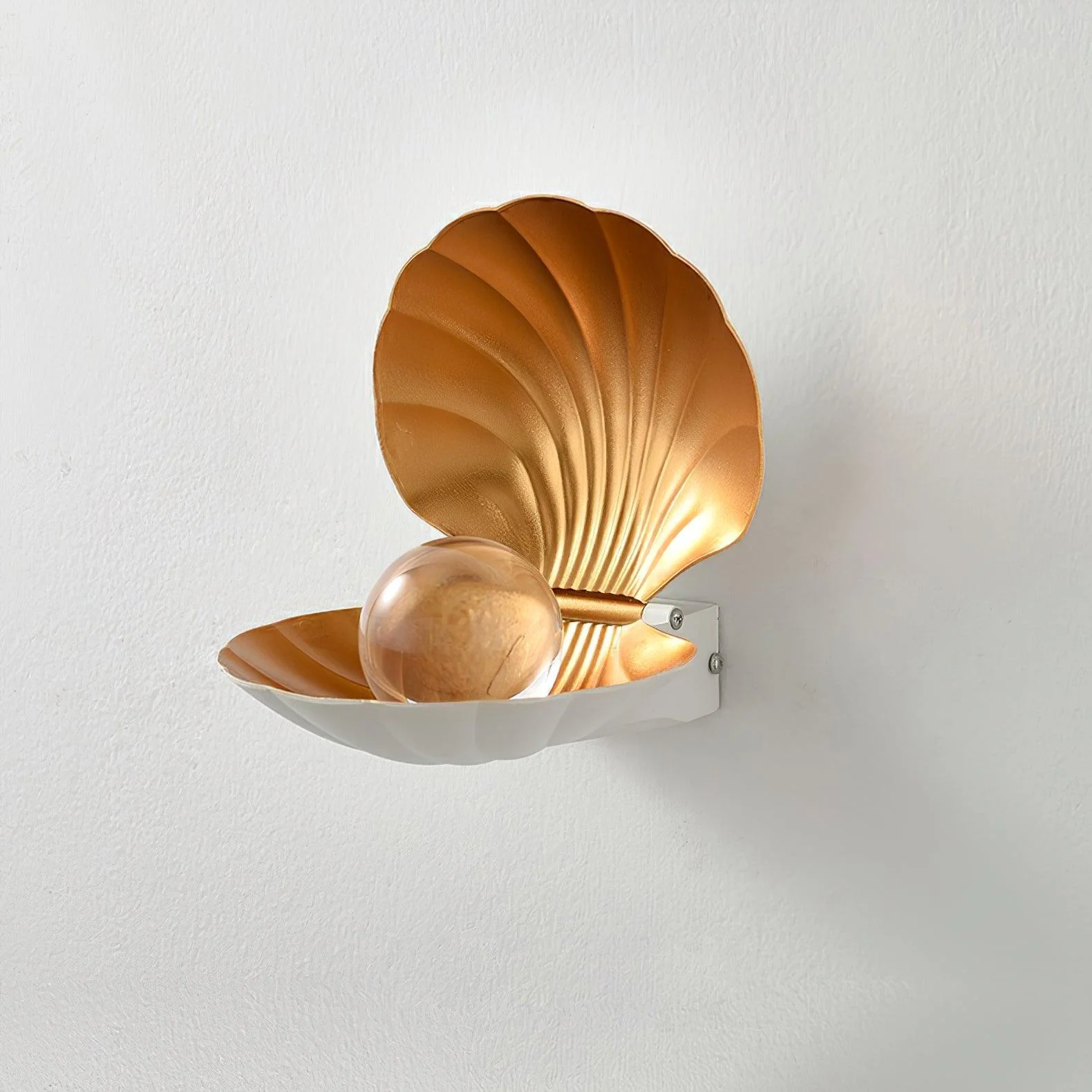 Pearl Clam Wall Light - Image 11