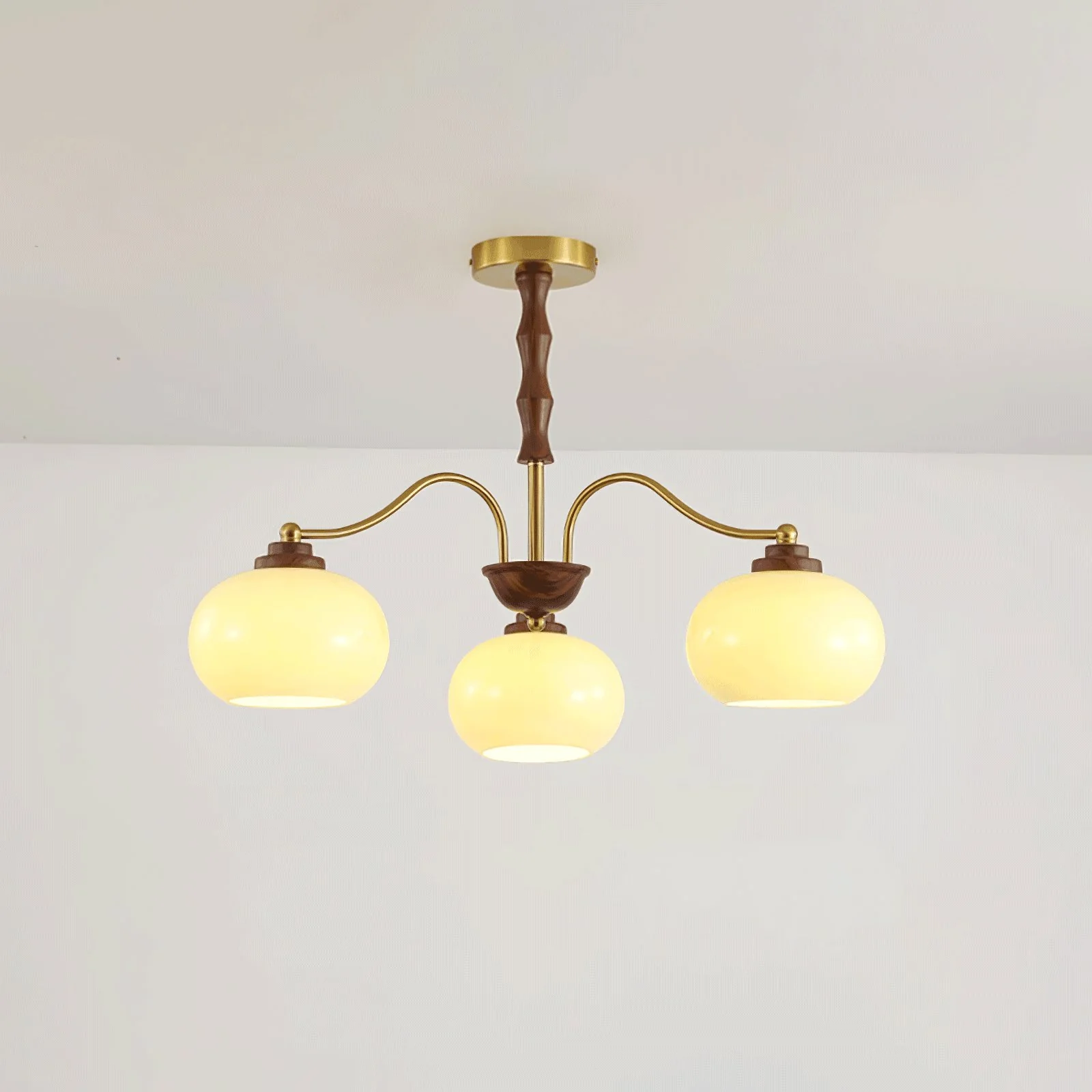 Persimmon Glass Globe Chandelier - Image 22