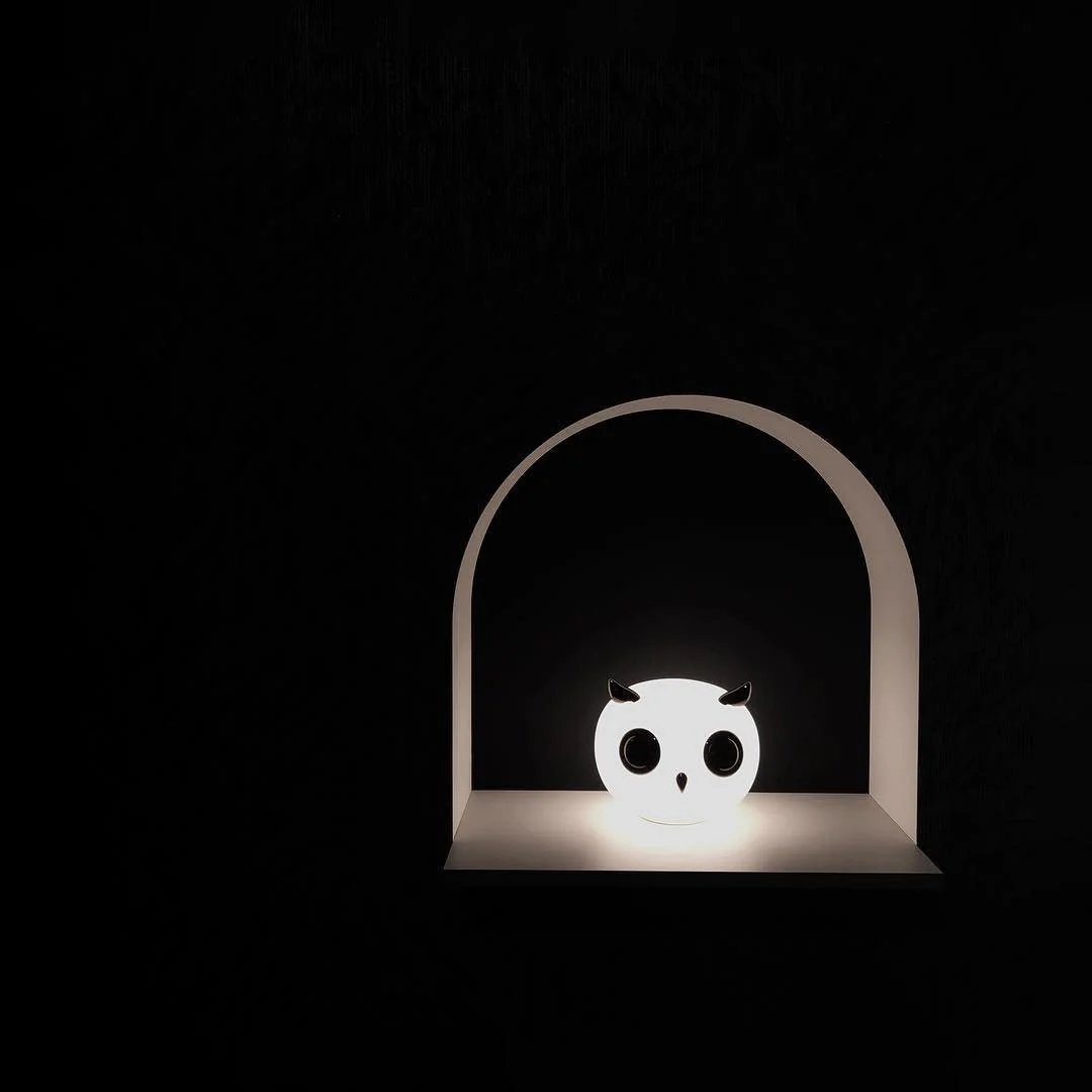 Pet Desk Light - Image 21