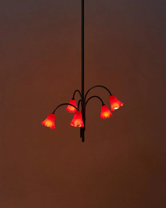 Petalia Blossom Chandelier - Image 72